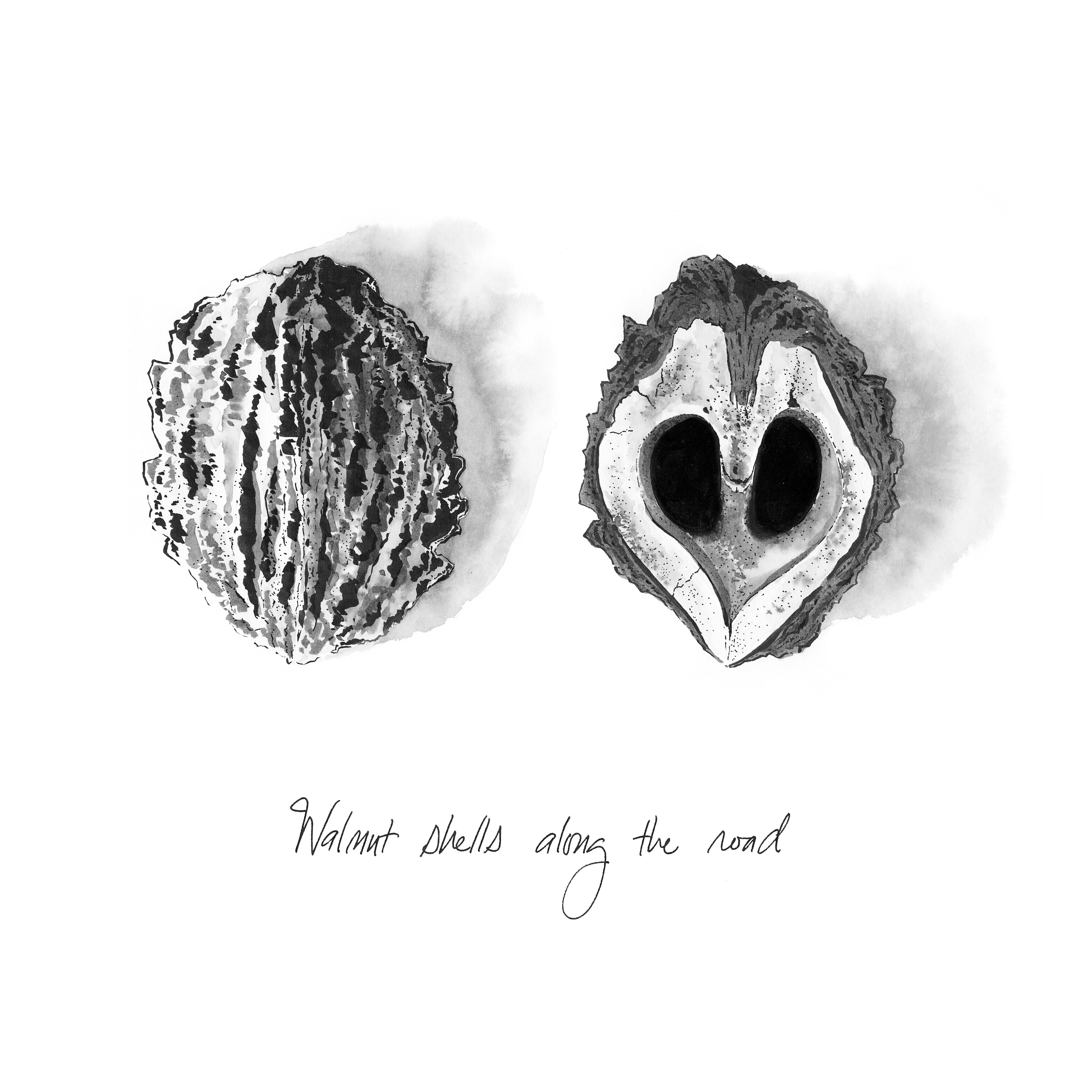 Walnut shells along the road
