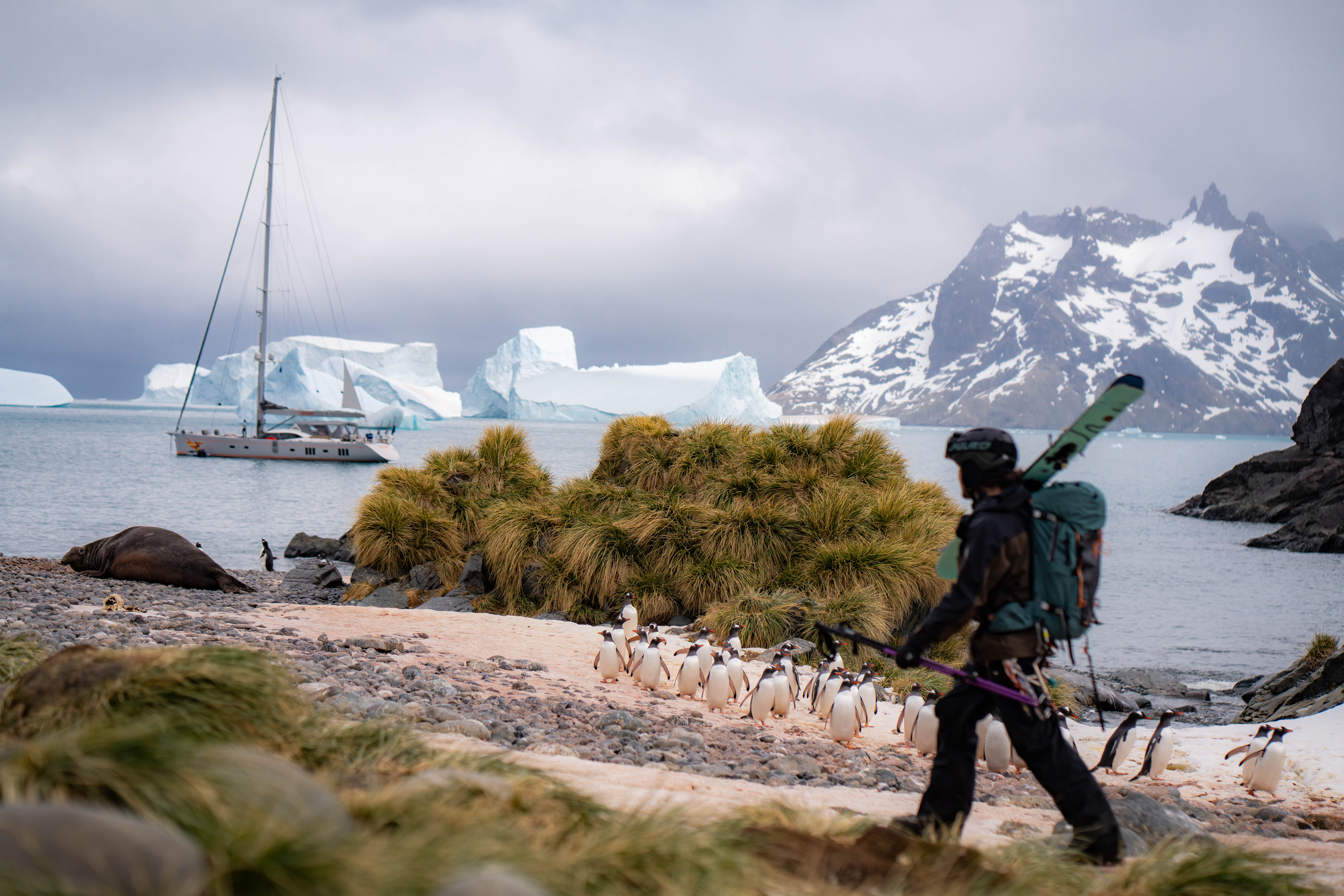 Siguiendo los pasos de Shackleton en Georgia del Sur | Esquí
