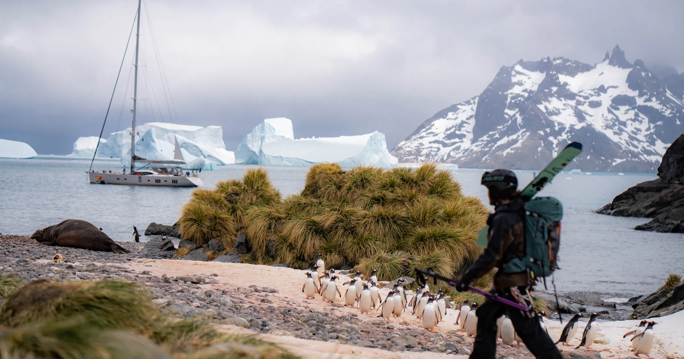 Siguiendo los pasos de Shackleton en Georgia del Sur | Esquí