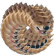 rio gif