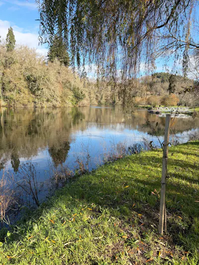 the image shows the Ponte da Barca river beach