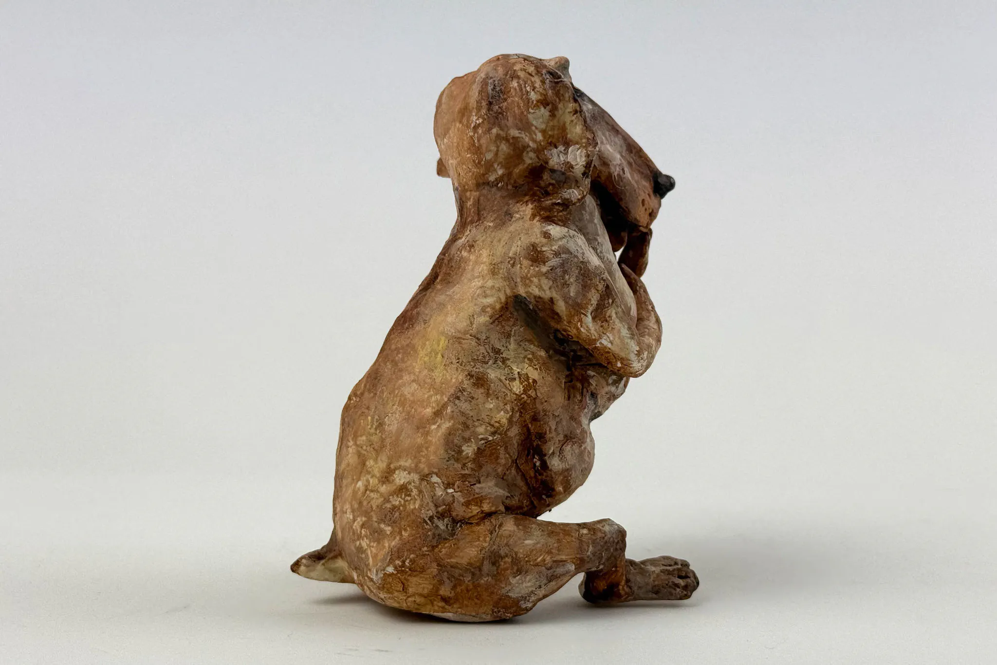Julia Williamson - DOG - 3