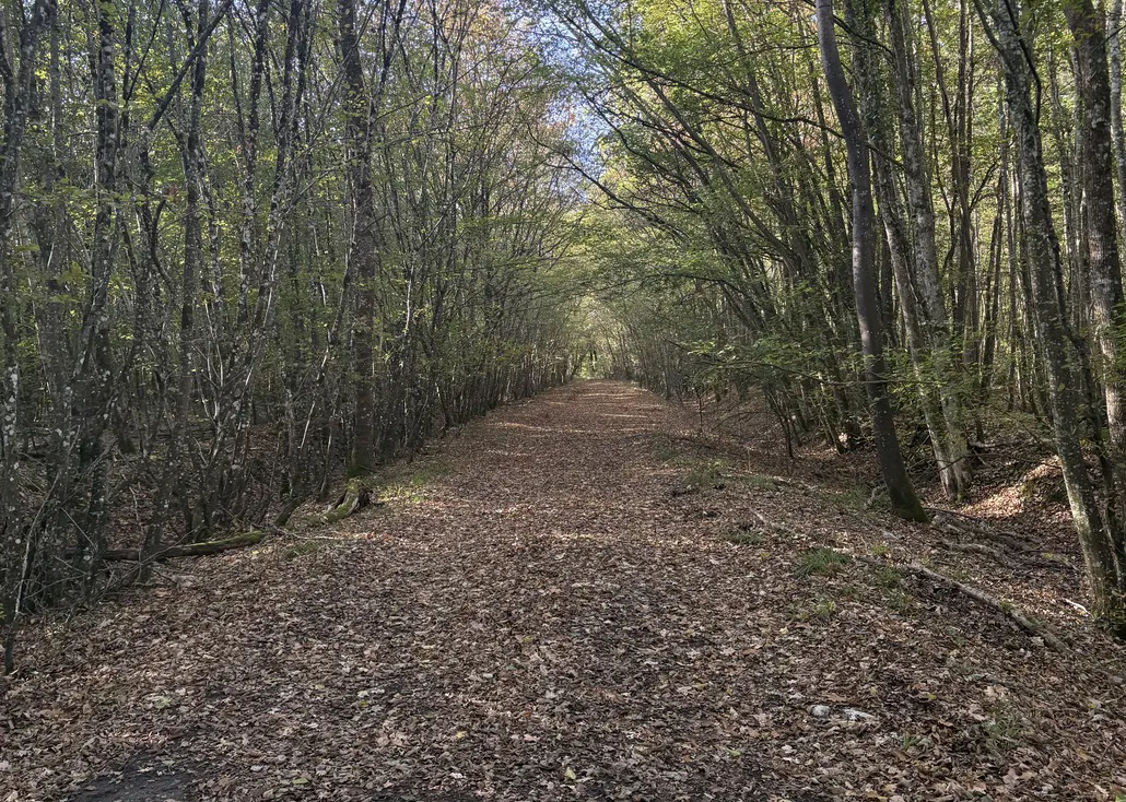Méditation Vipassana, 10 jours de silence