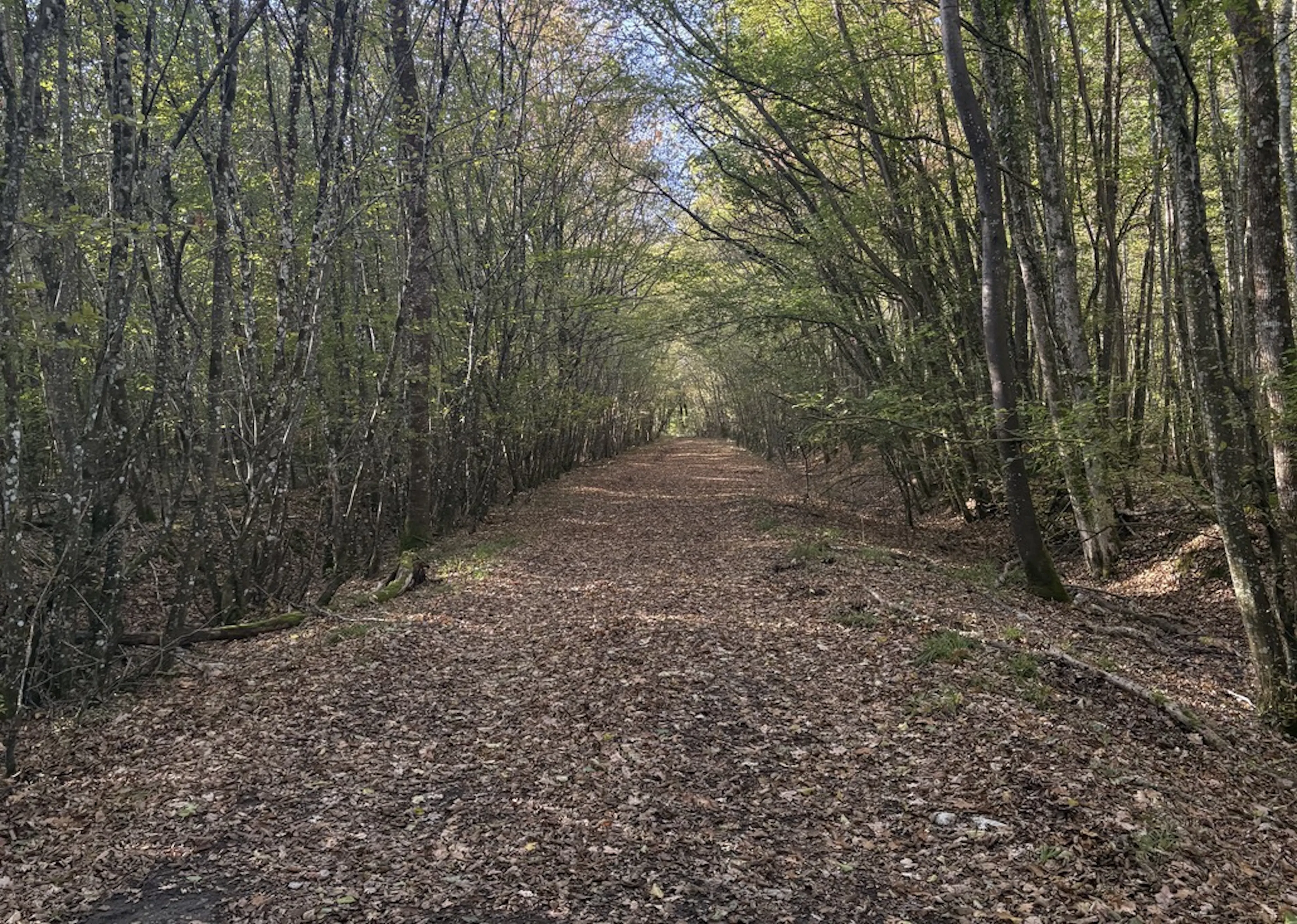 Méditation Vipassana, 10 jours de silence