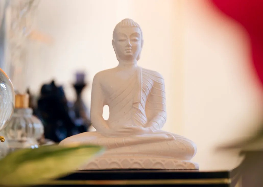 Meditation vipassana