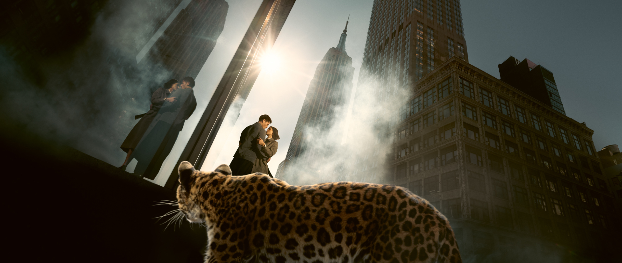 Project cover: Cartier 365