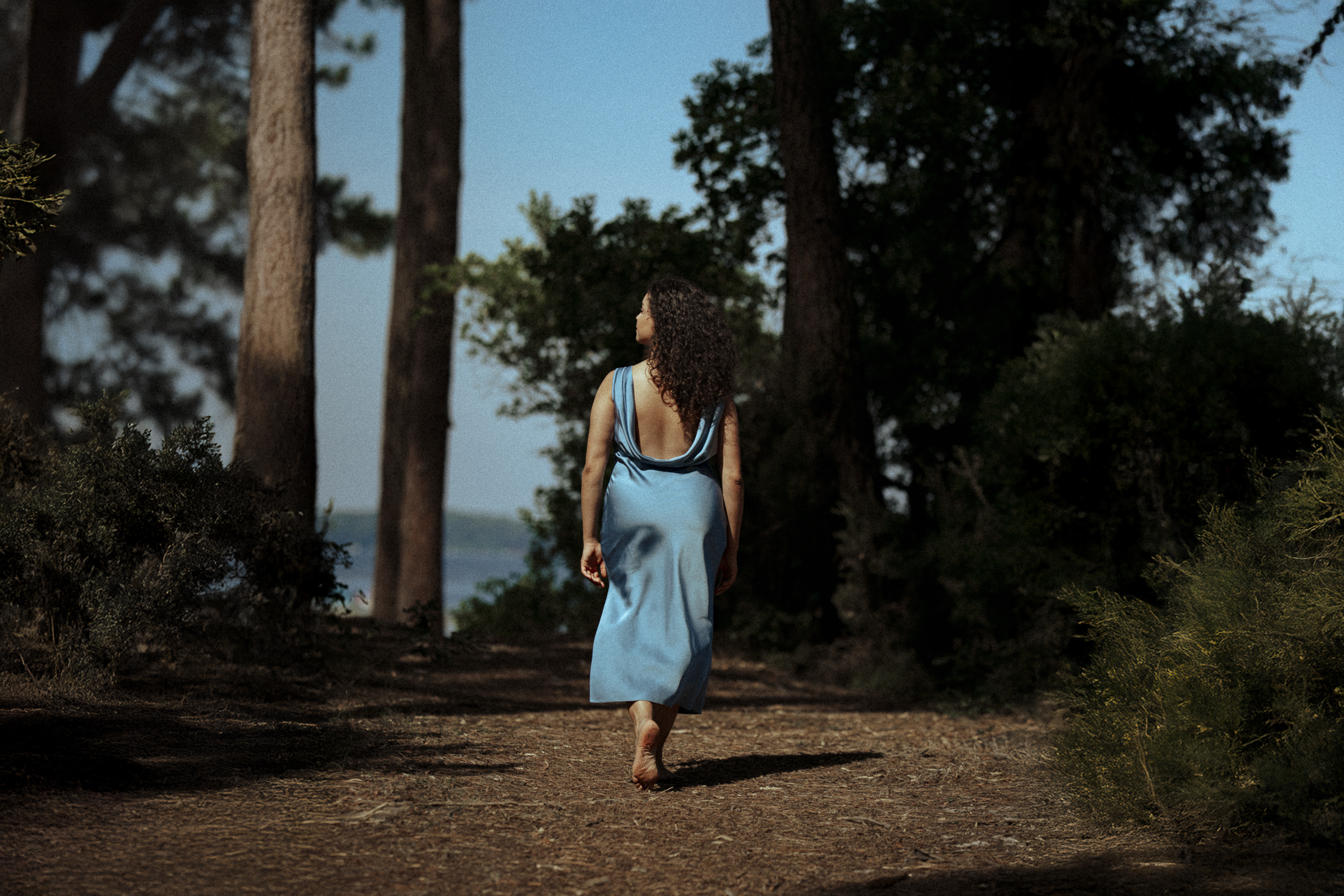 Louis Beydts - L’oiseau bleu