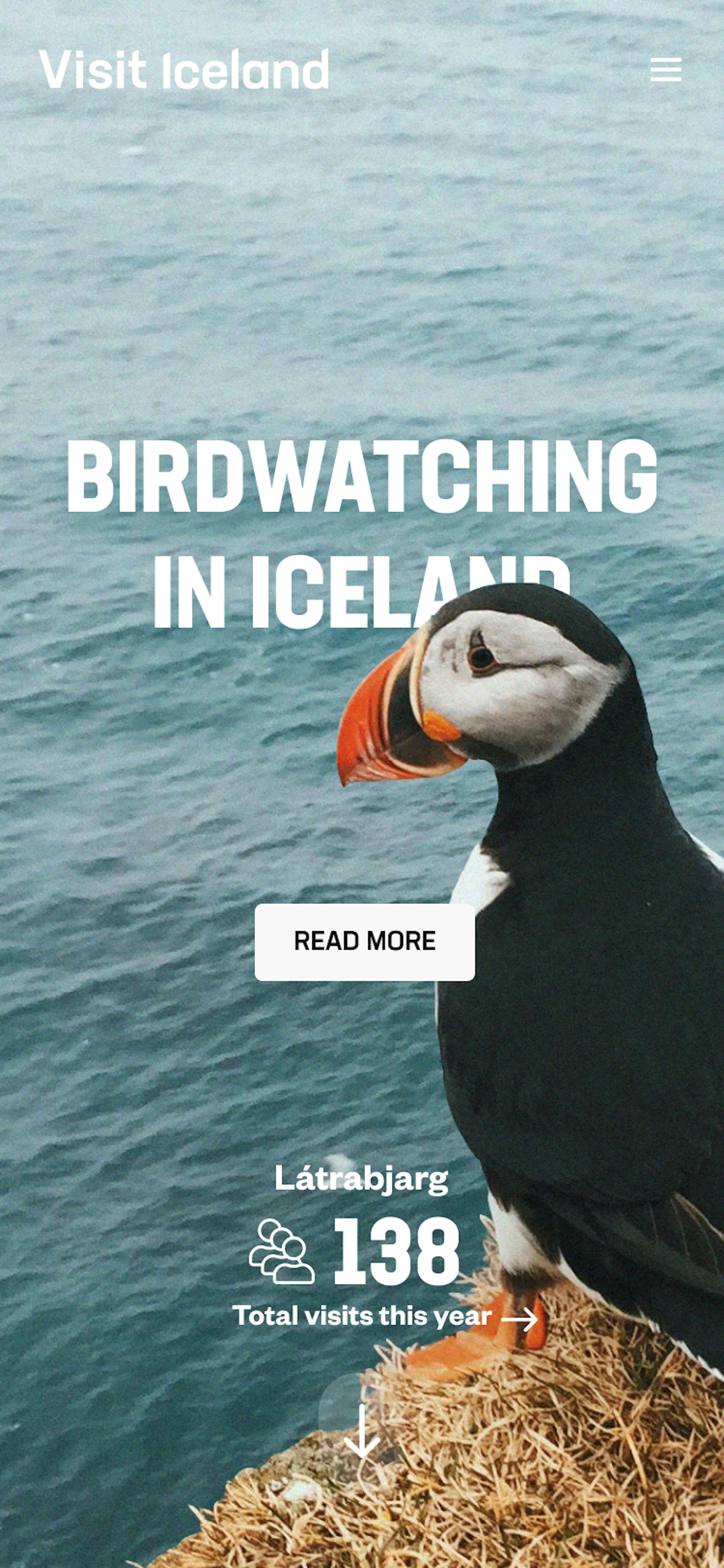 Skjámynd af vefsíðu Visit Iceland