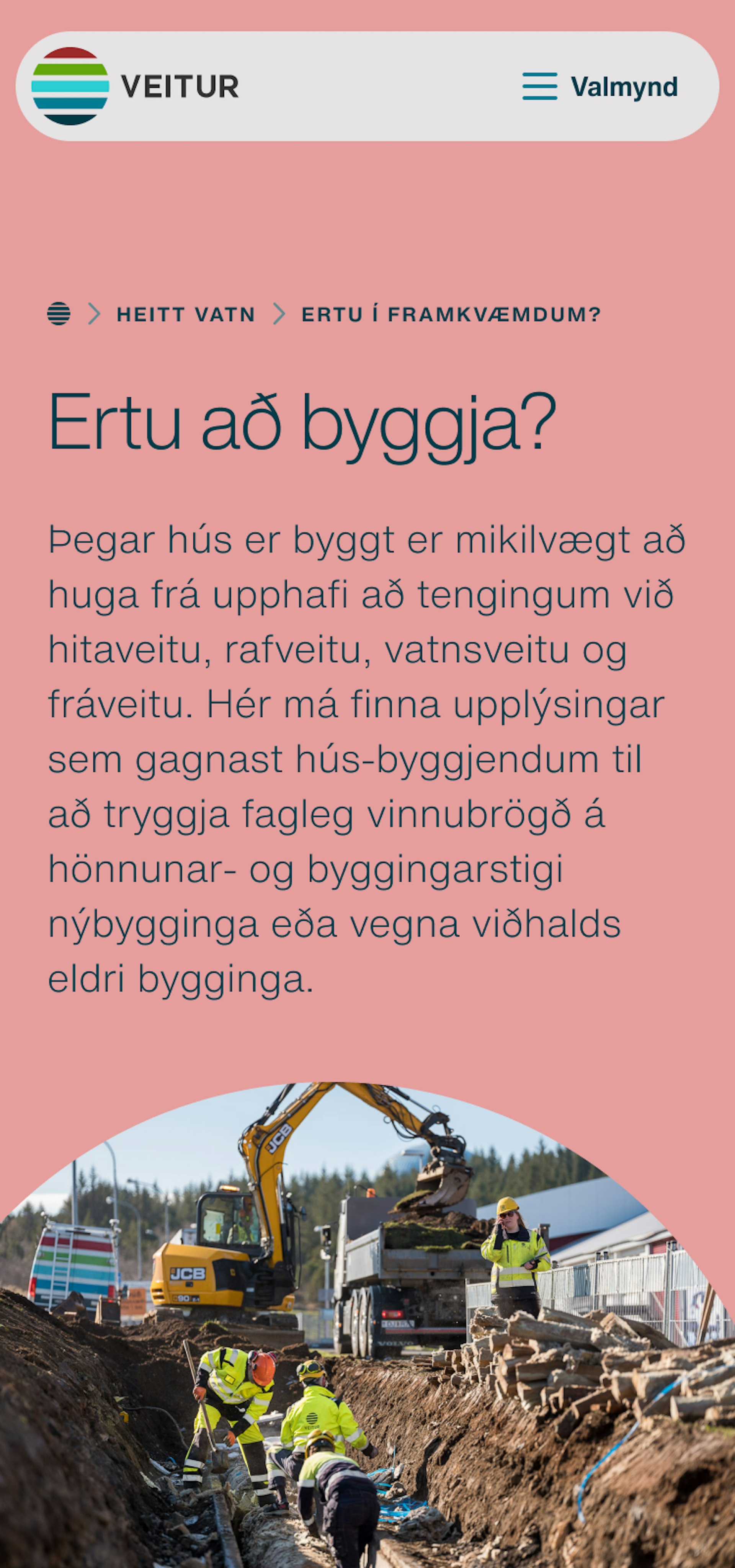 Skjámynd af síðu Veitna
