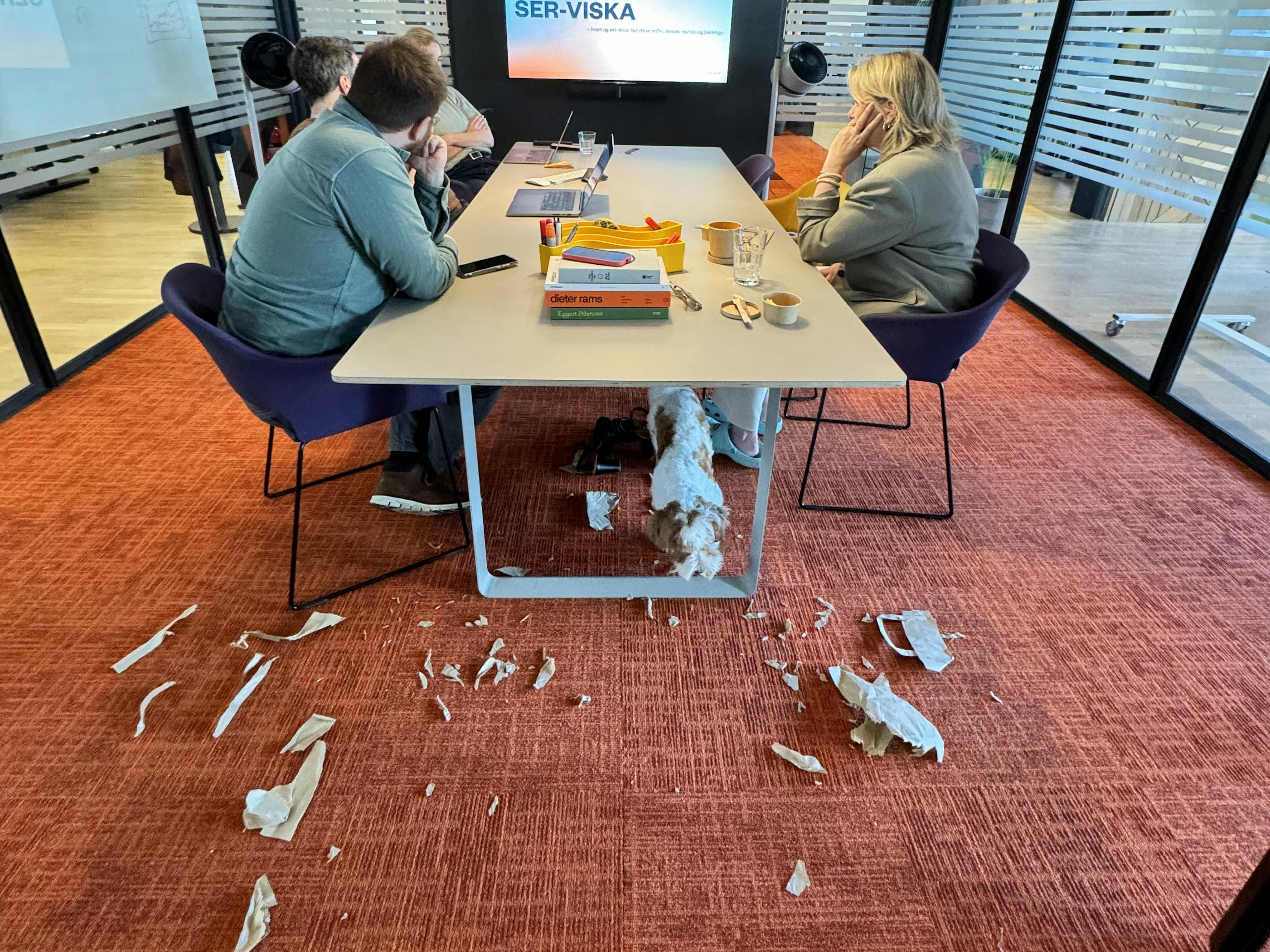 image and caption image