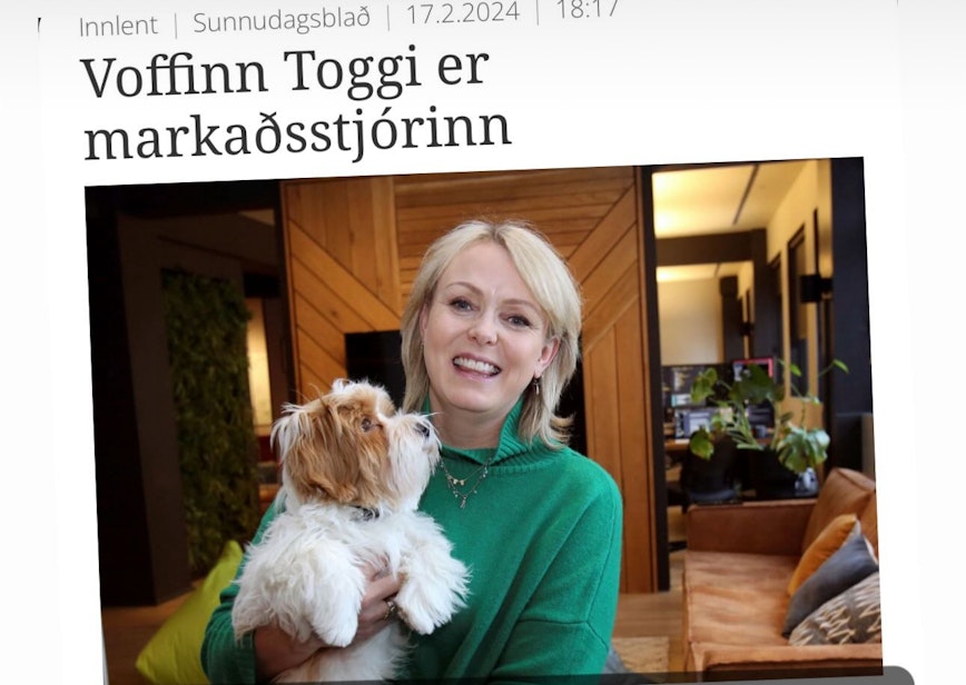 image and caption image