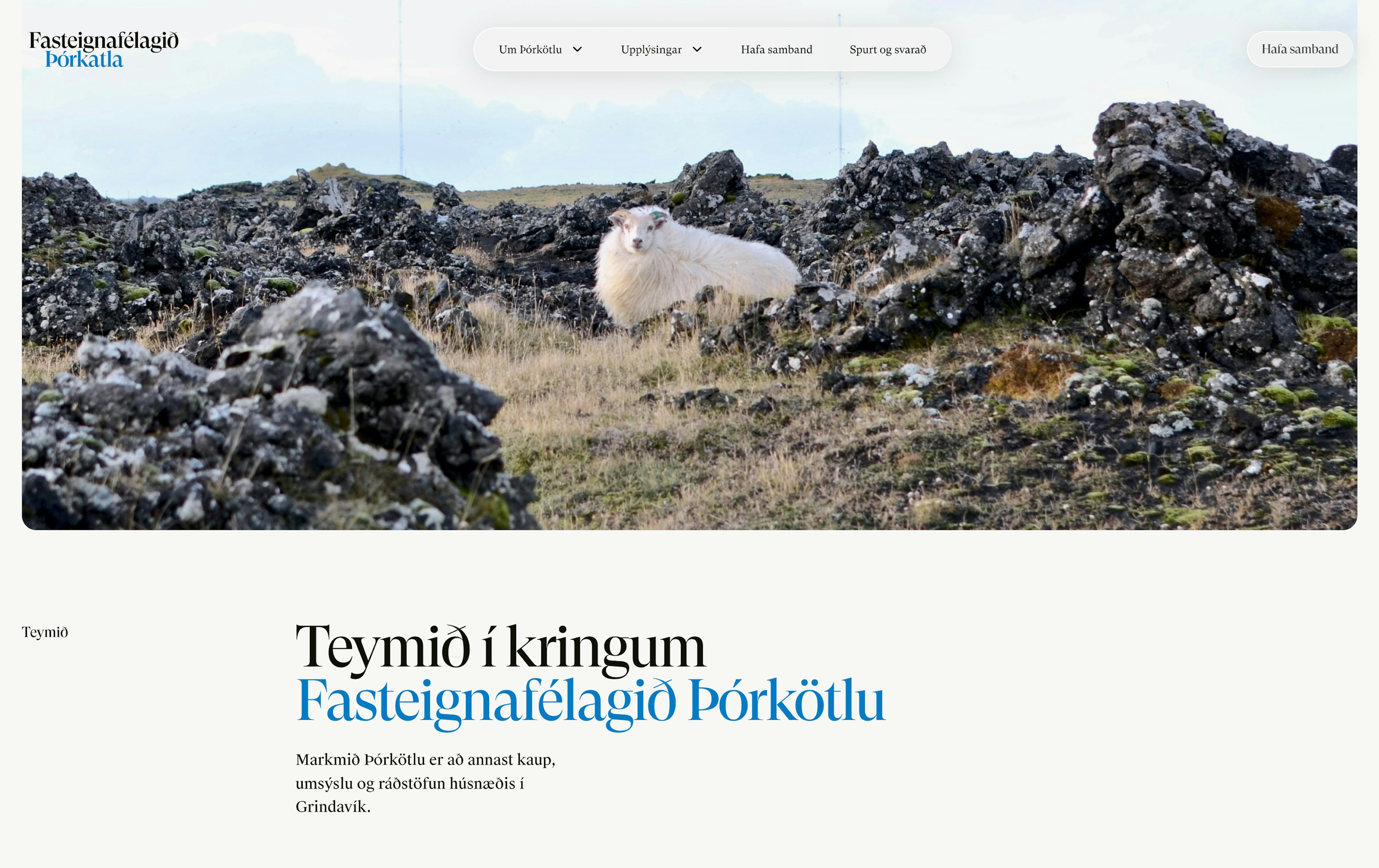Skjamynd af undirsíðu Þórkötlu