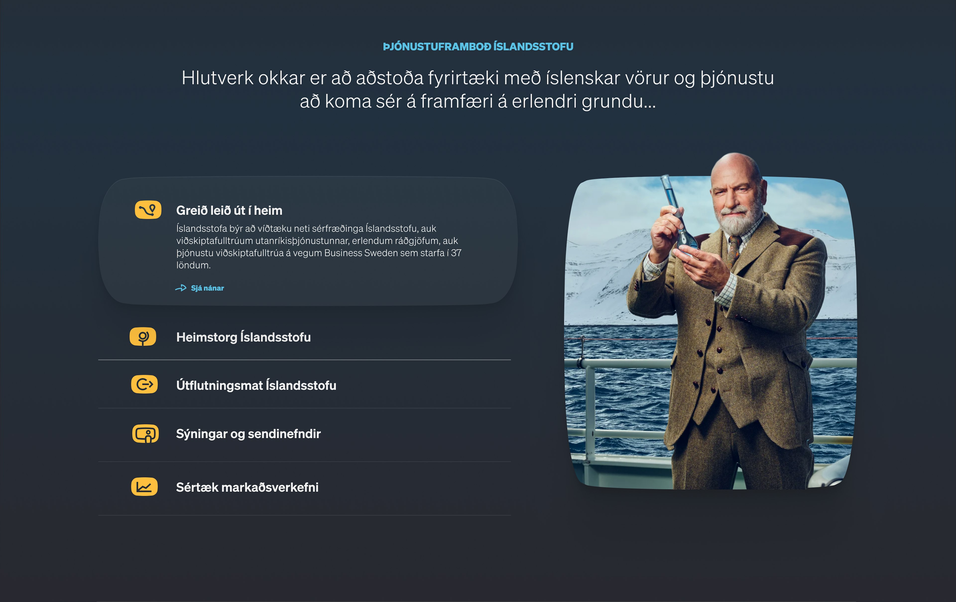 Mynd af undirsíðu af hönnun Júní fyrir Íslandssttofu