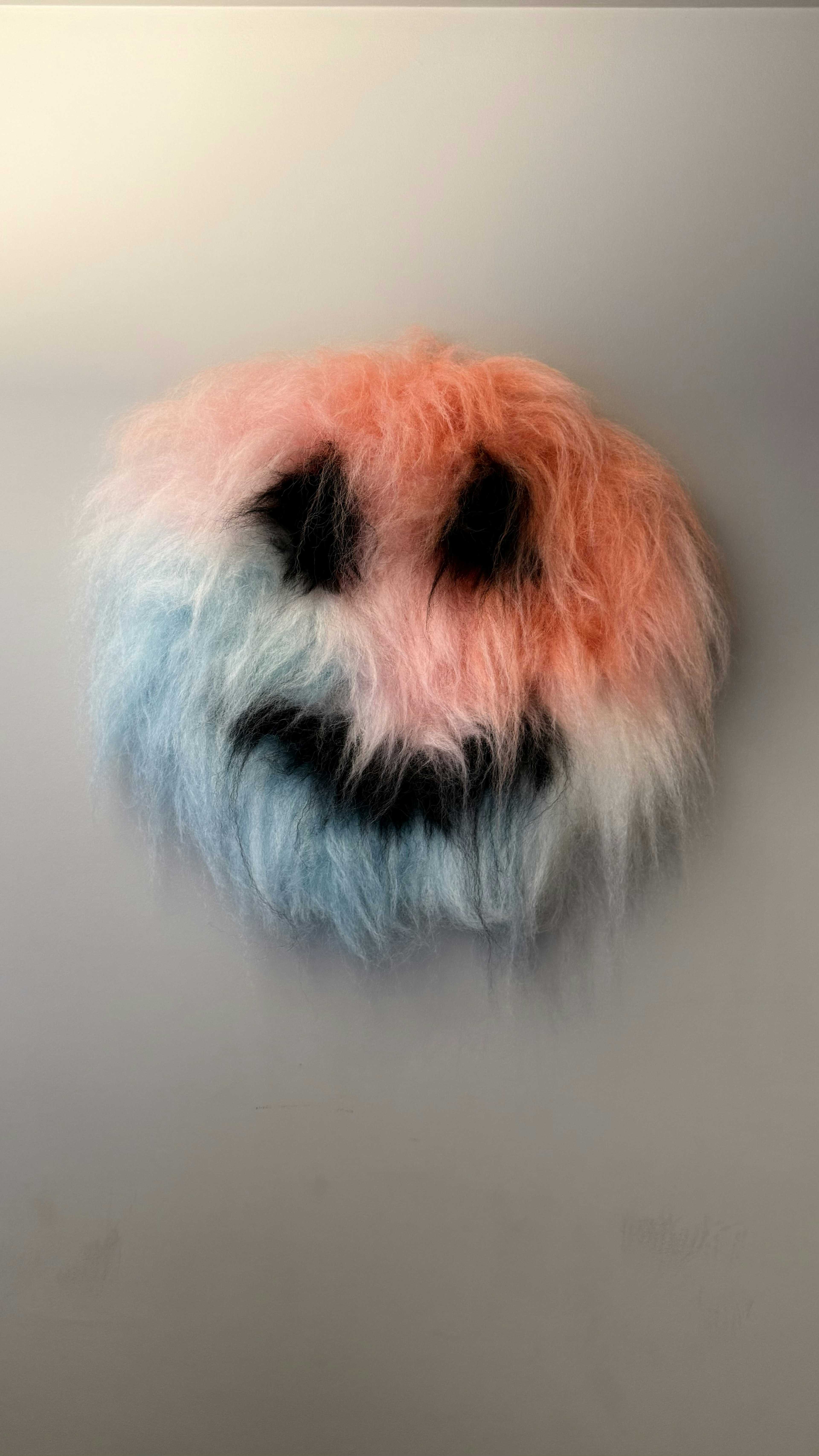 image and caption image