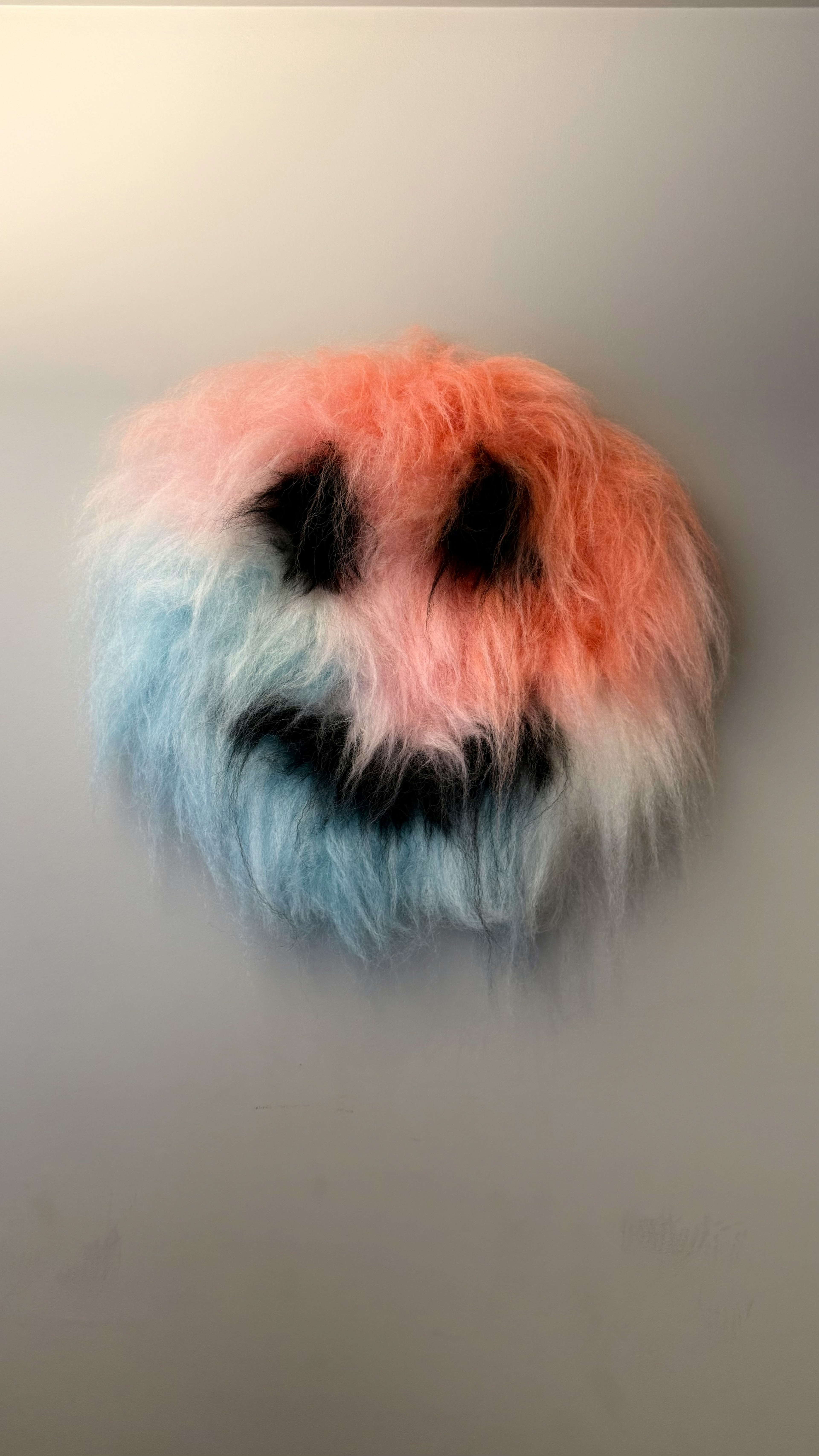 image and caption image