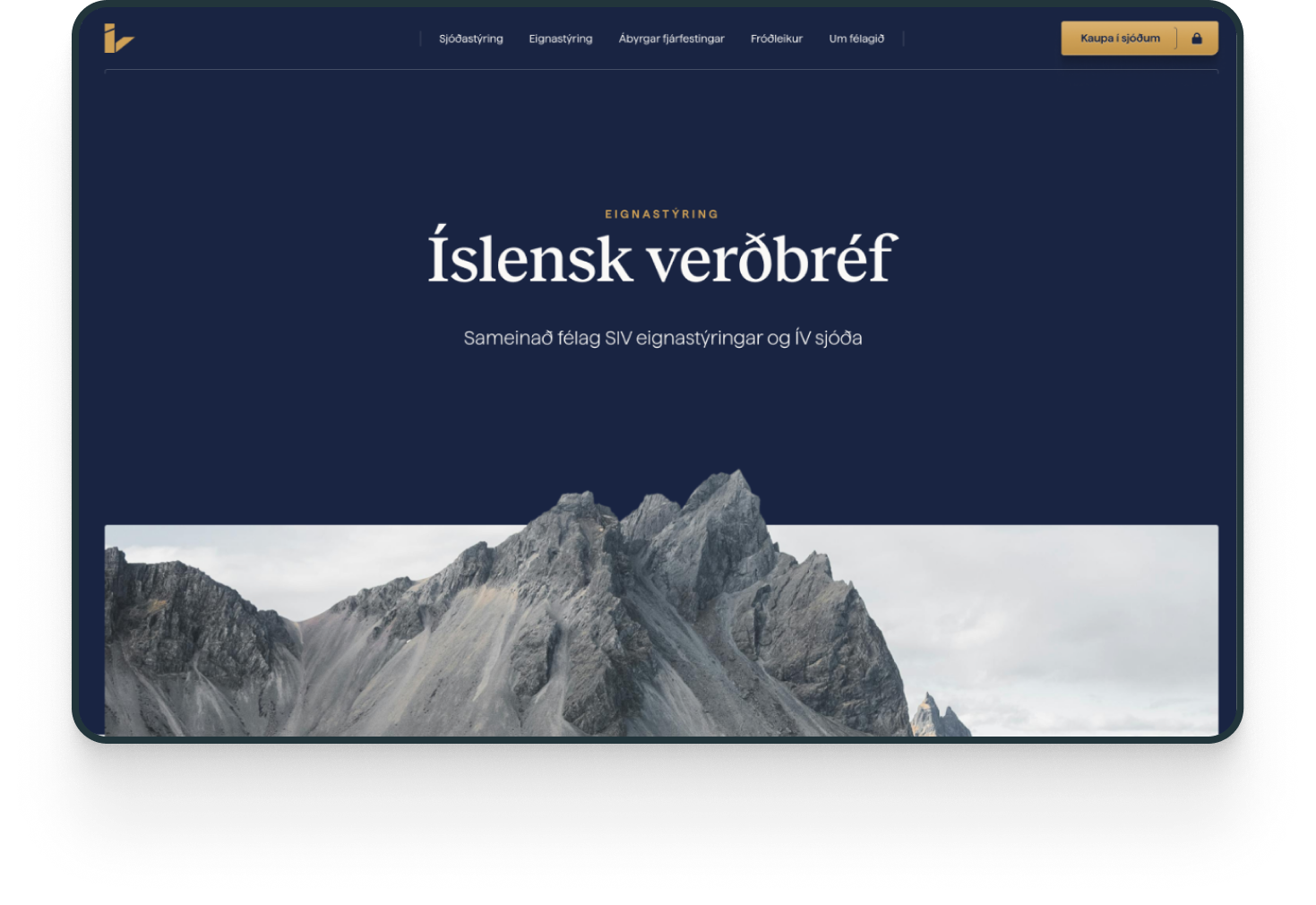 image and caption image