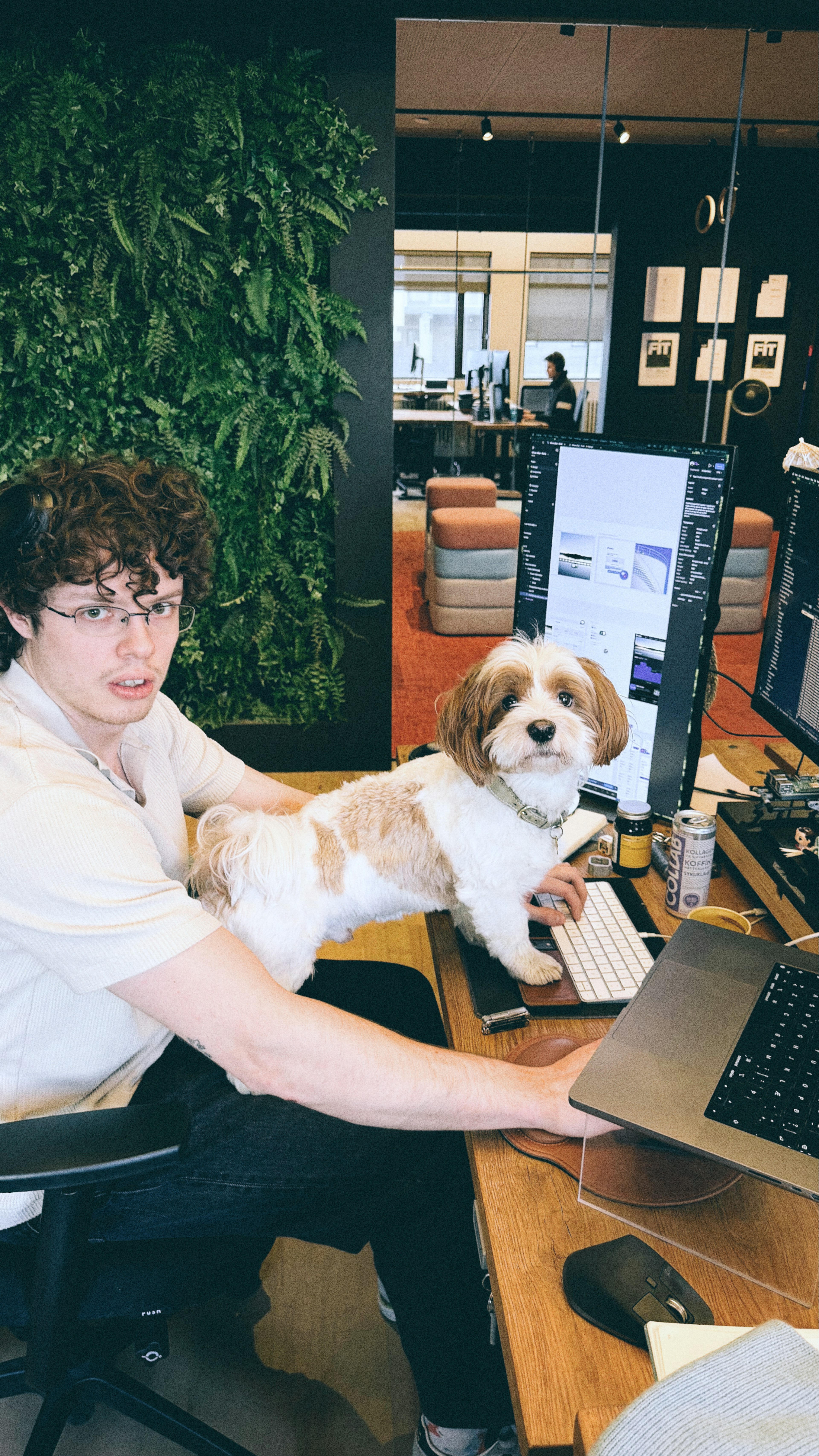 Tumi forritari með Togga hund uppi á borði