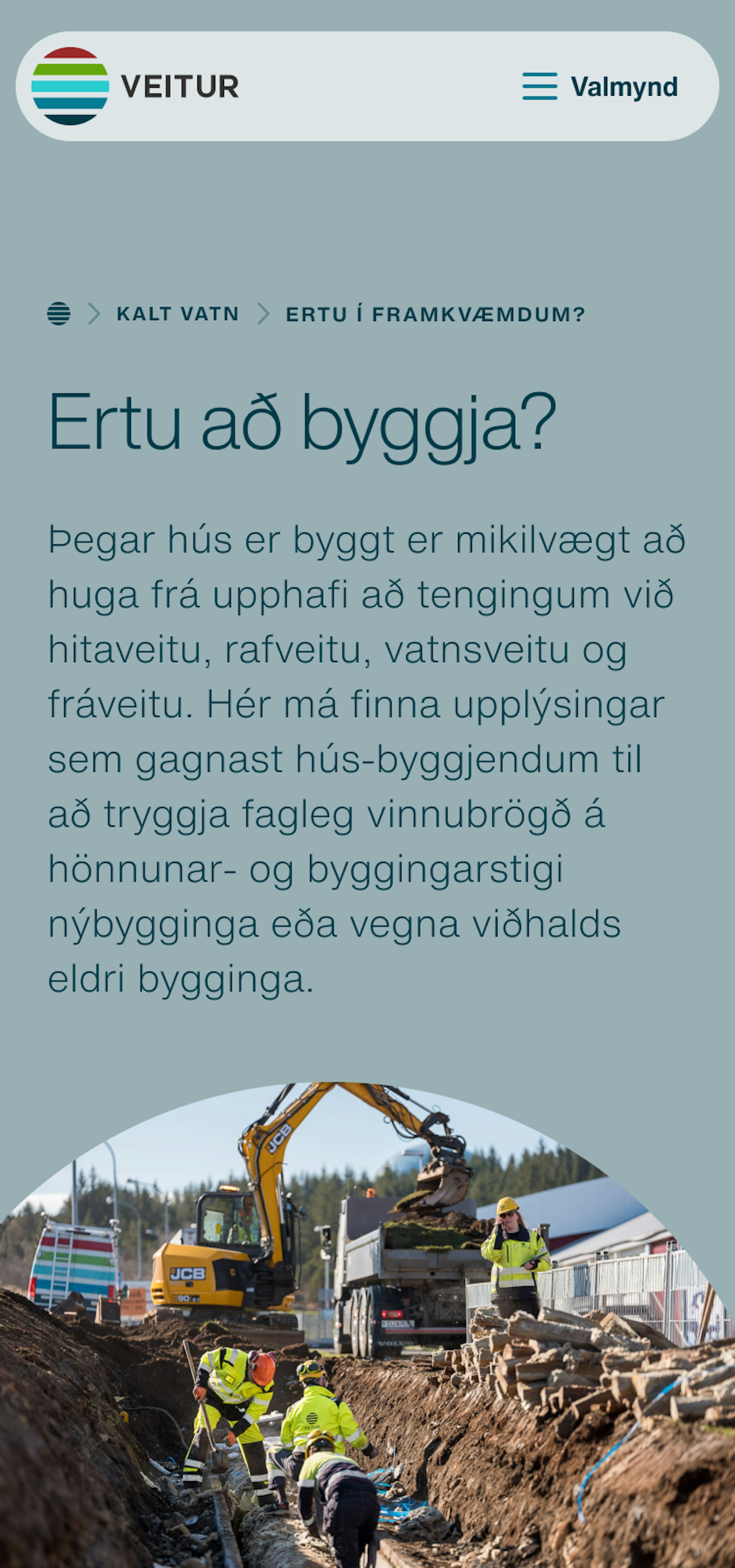 Skjámynd af síðu Veitna