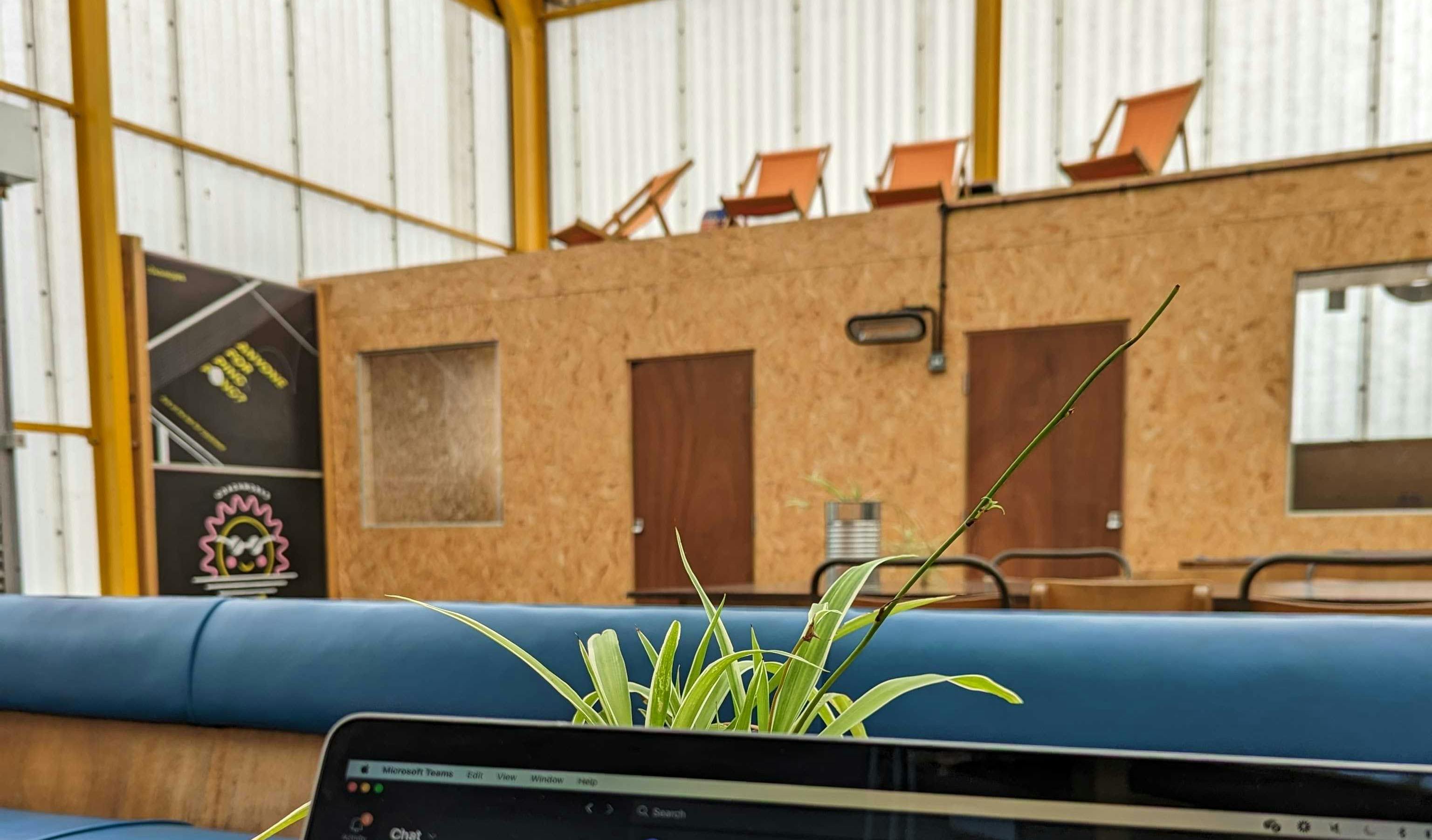 Juniper laptop whilst co-working from Coachworks