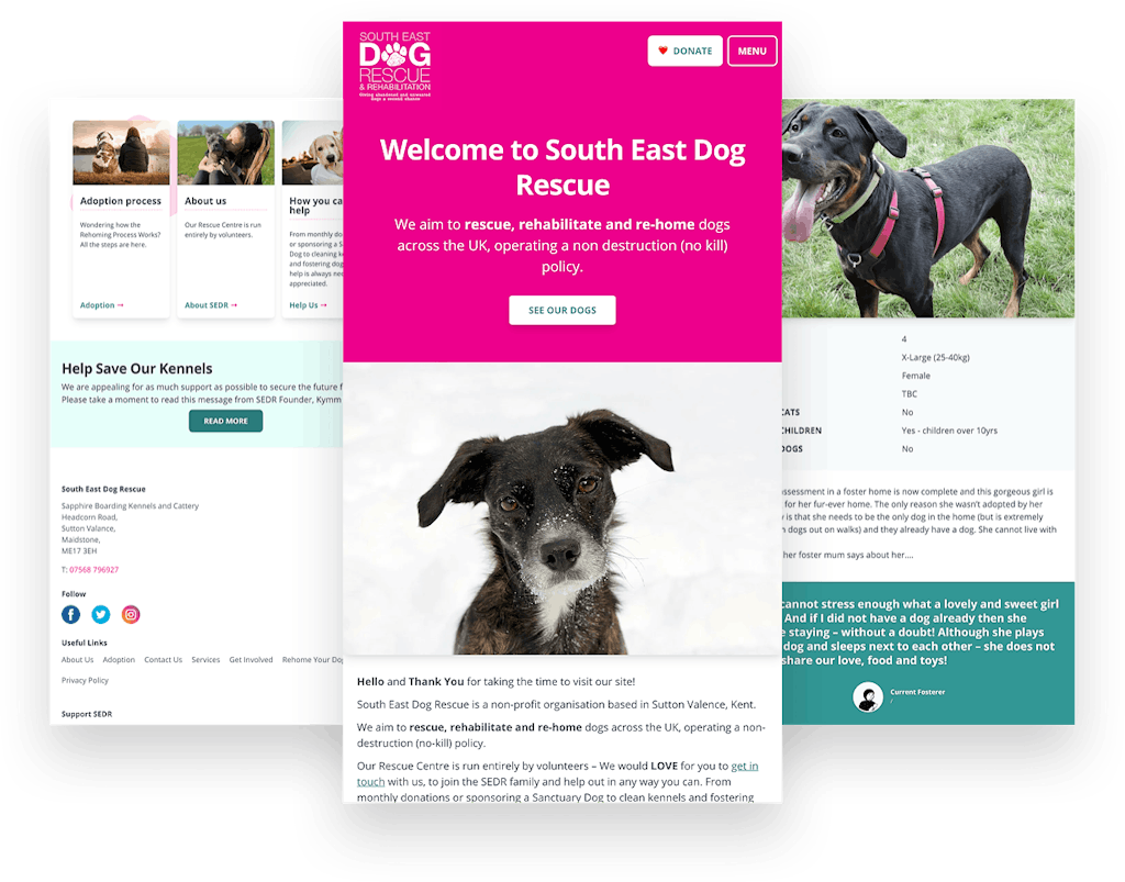 South east dog 2024 rescue