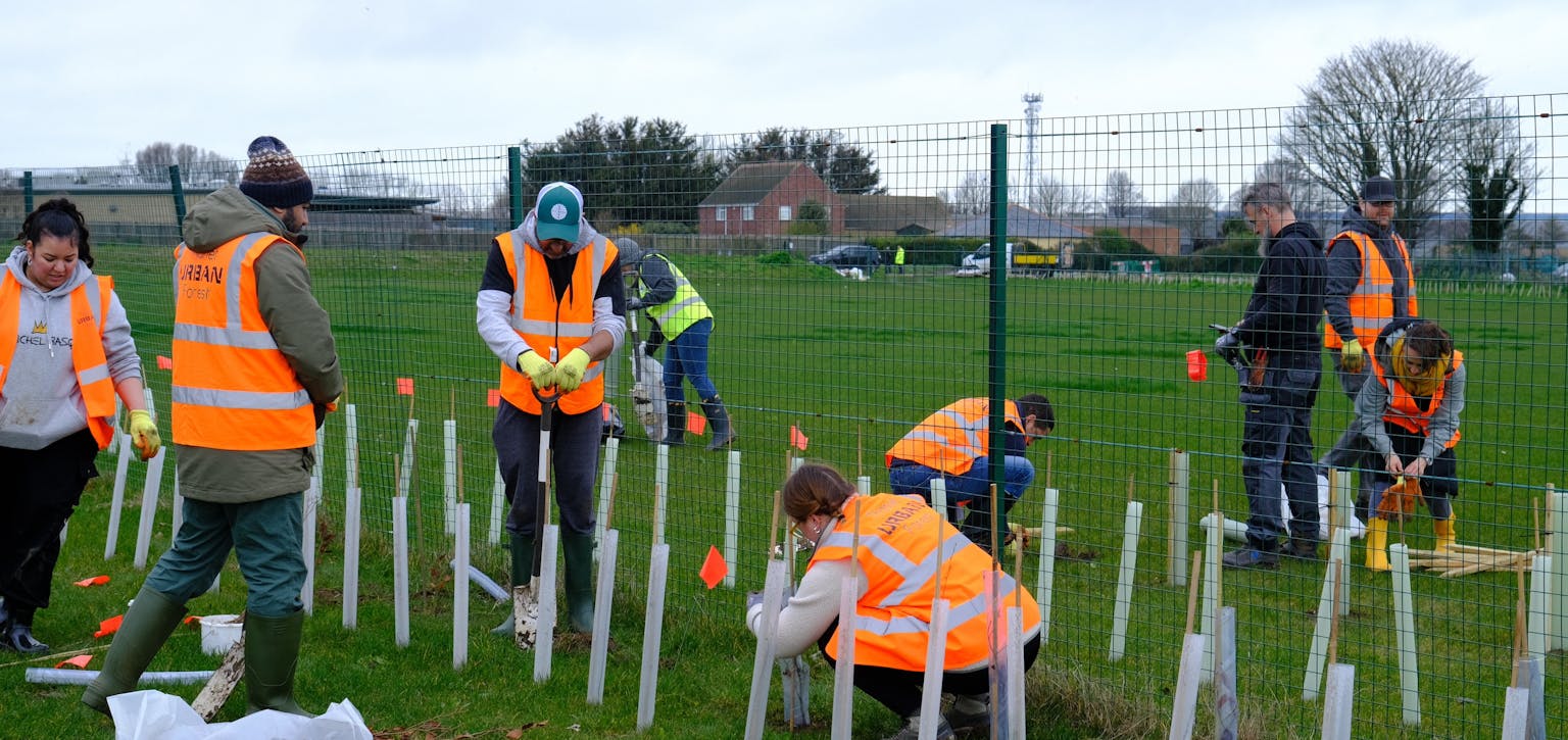 Treeapp planting group digging section for new woodland