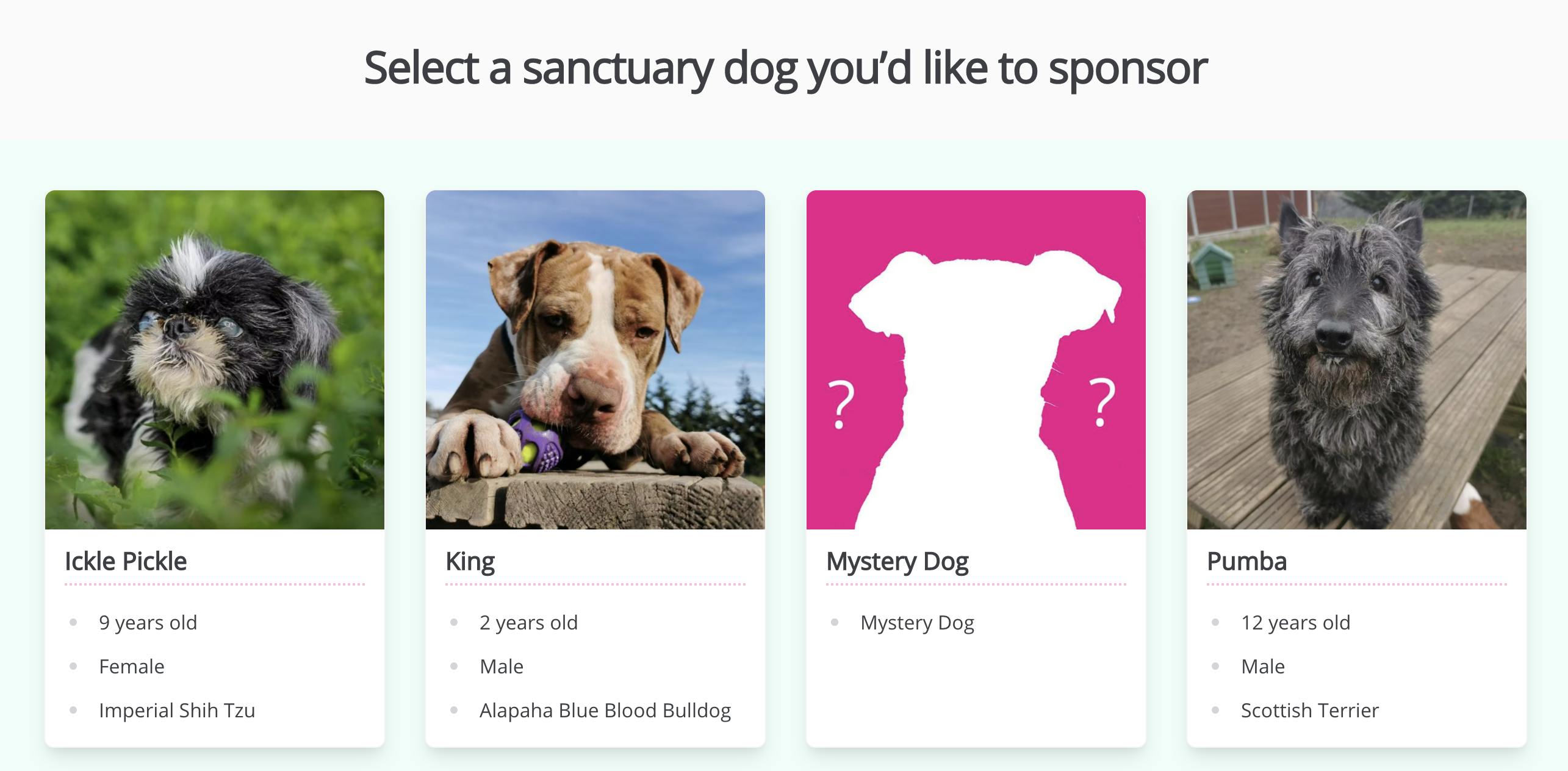 Sponsorship dog screen SEDR