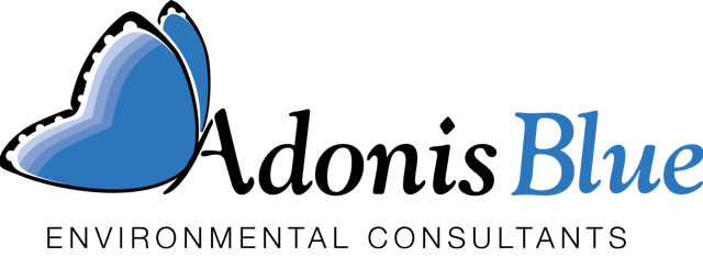 Adonis Blue Environmental