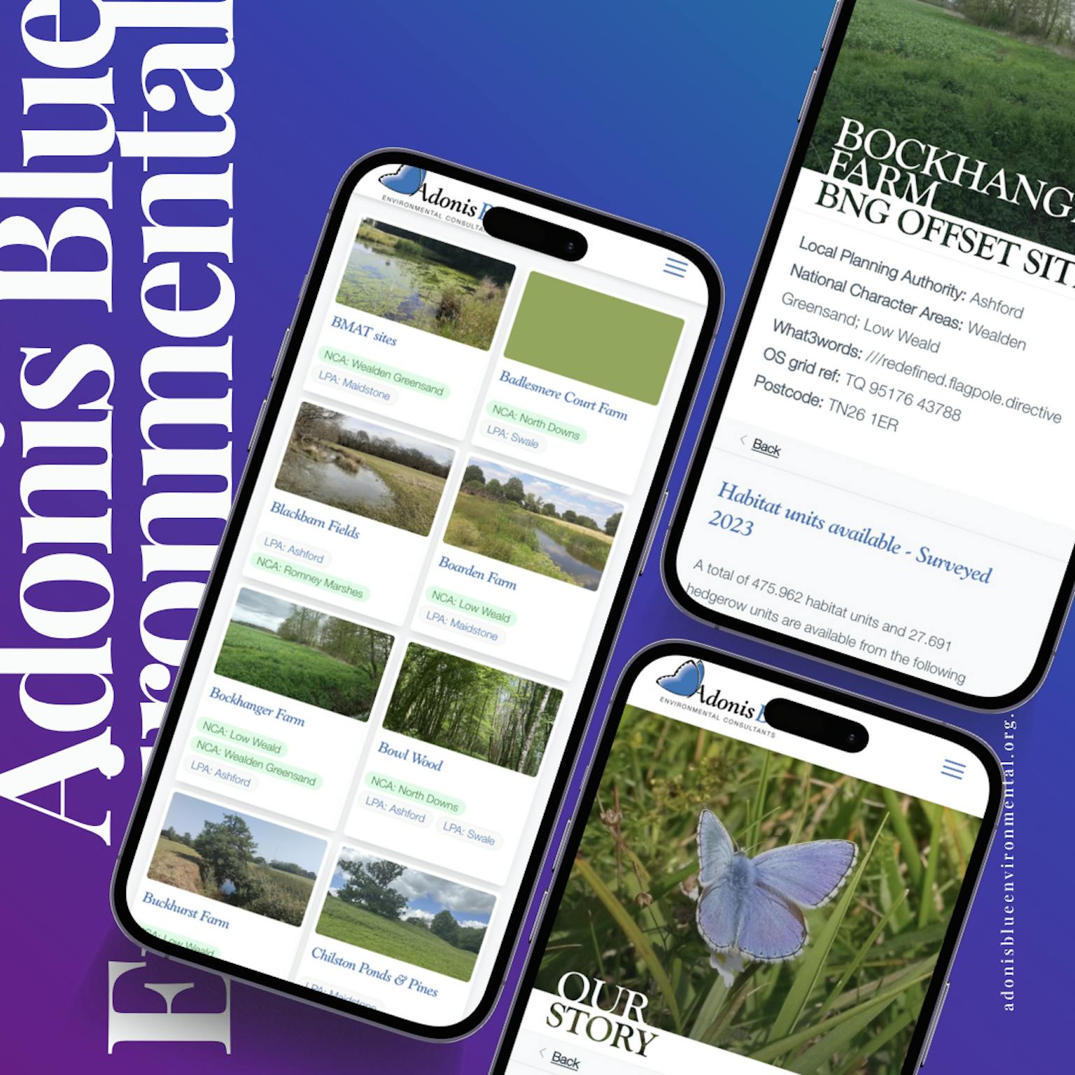 Adonis Blue Environmental