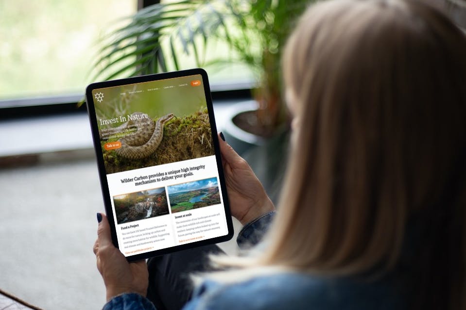 Woman looking at Wilder Carbon website on Tablet