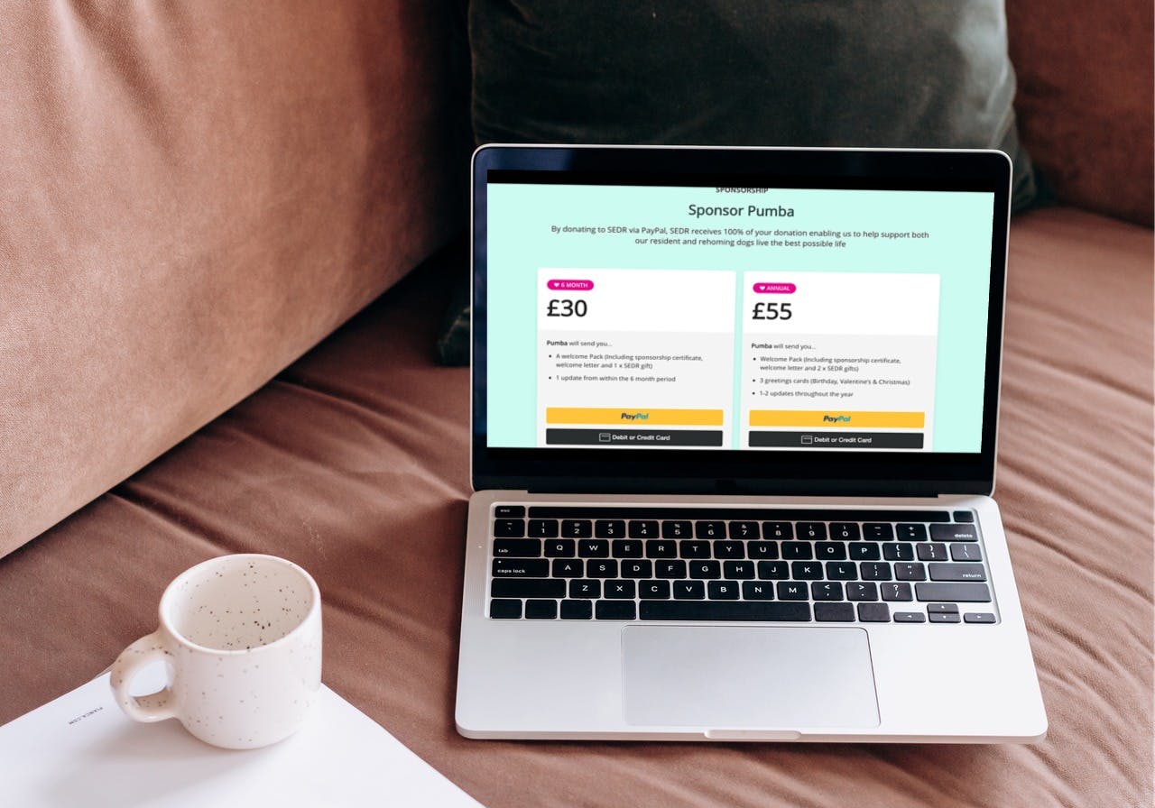 South East Dog Rescue Paypal Sponsorship screen on laptop