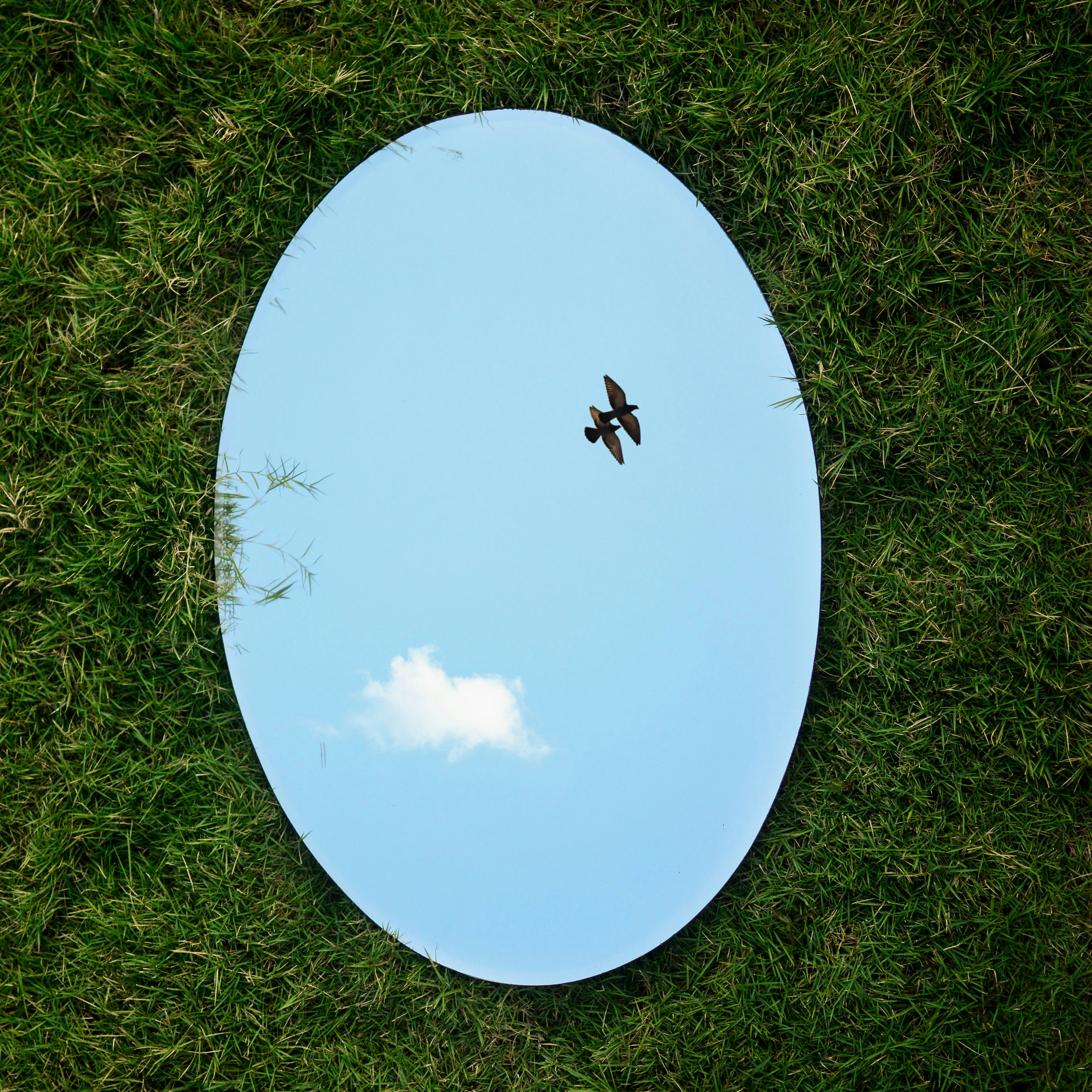 mirror on the grass showing the sky