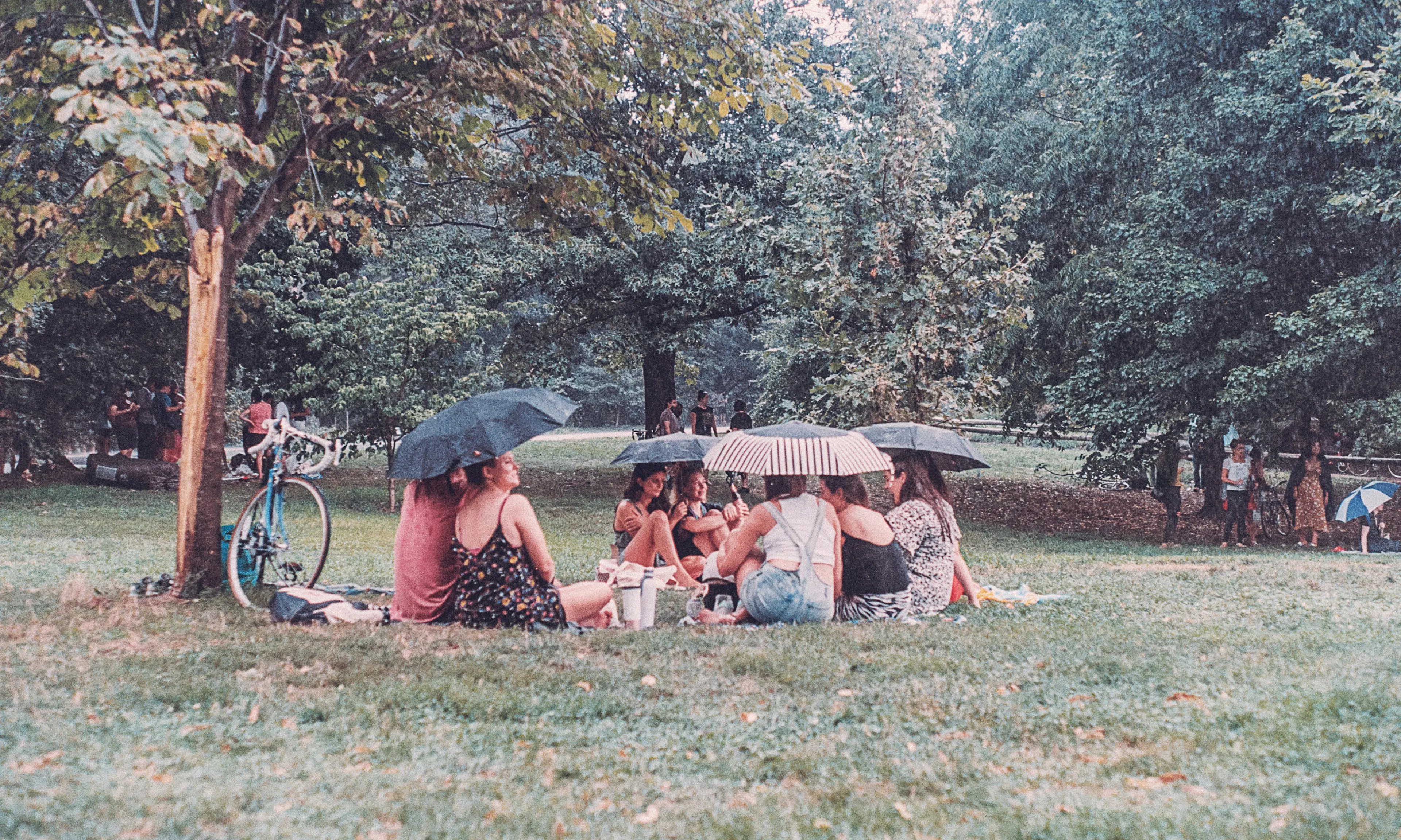 people sitting at park under umbrellas