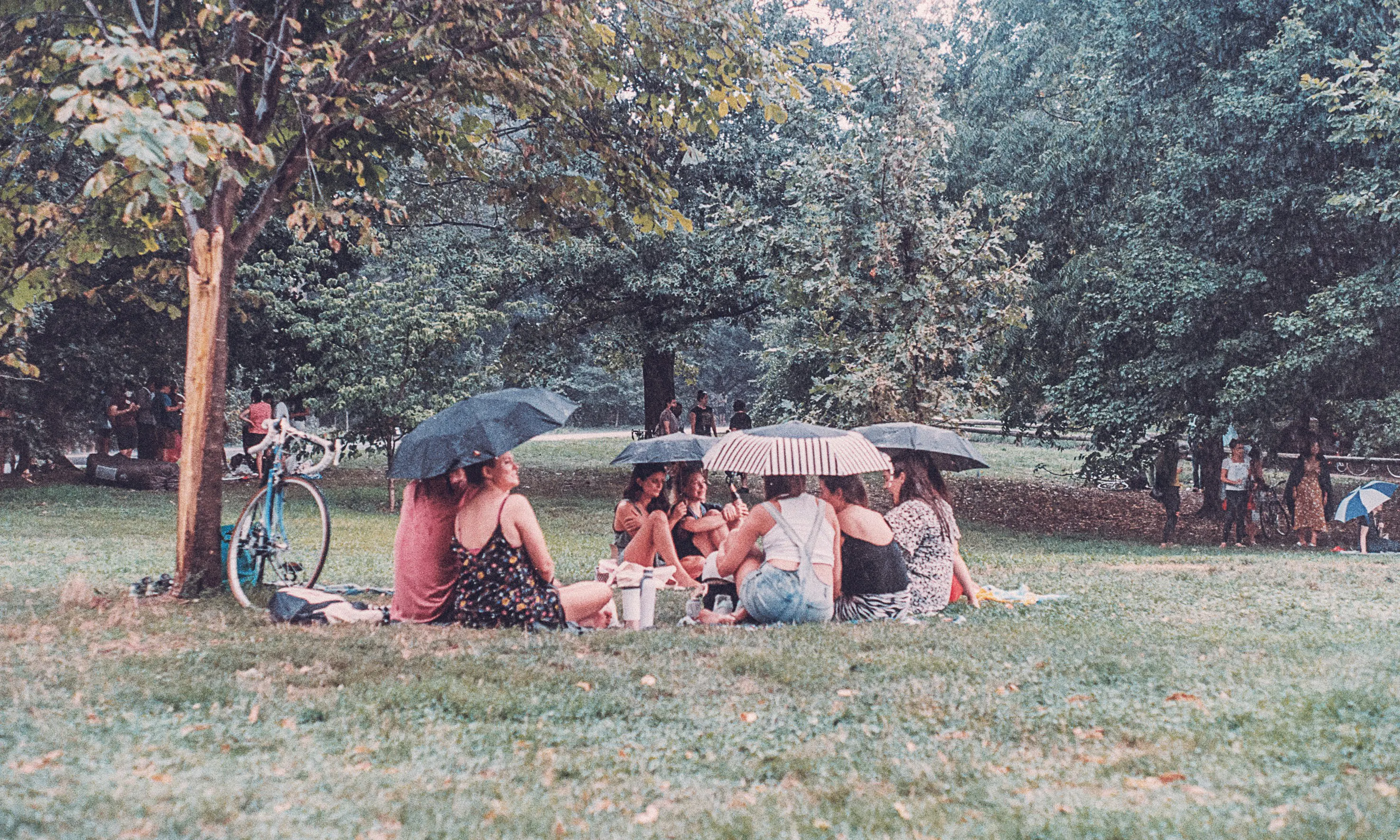 people sitting at park under umbrellas