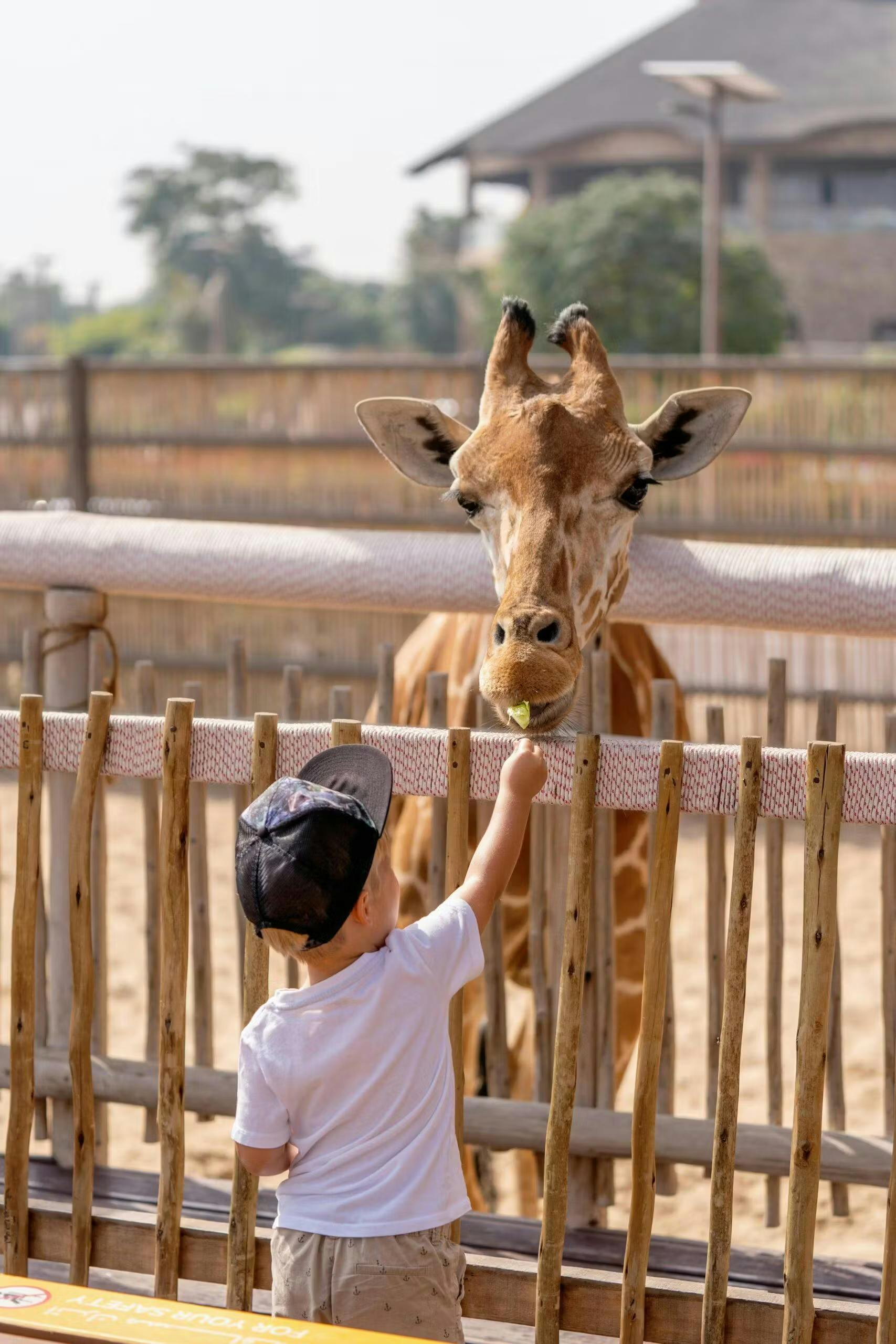 enfant au zoo