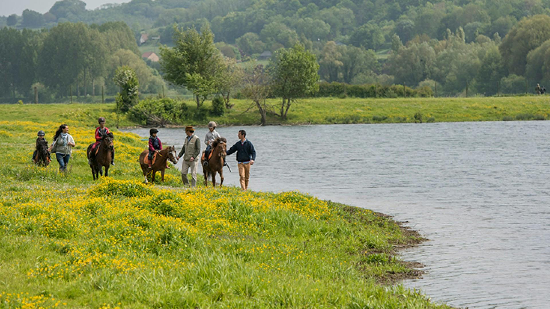 activités baie de somme à cheval