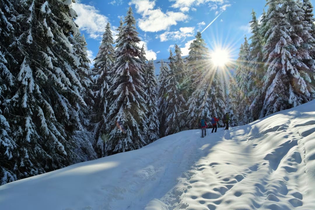 randonnée raquette en famille Morzine