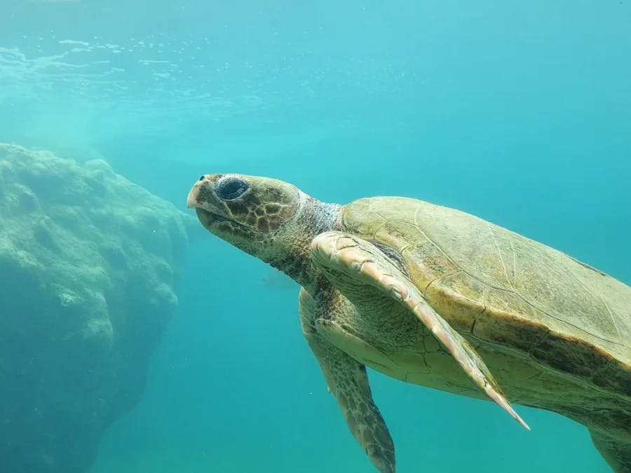 Aquarium dans la haute-vienne activités en famille