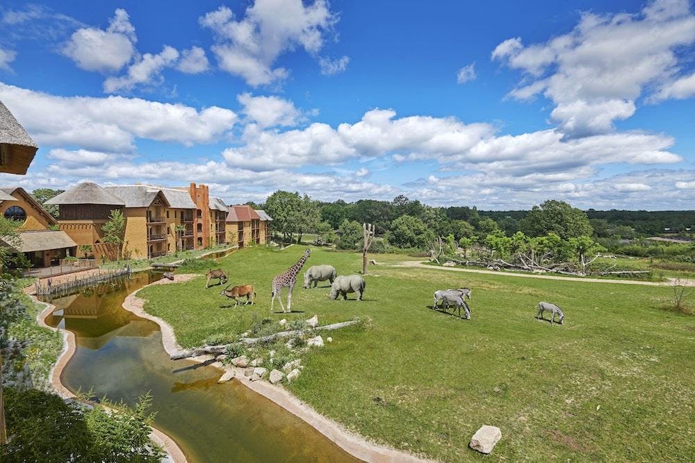 hôtel Savana réserve avec chambres familiales