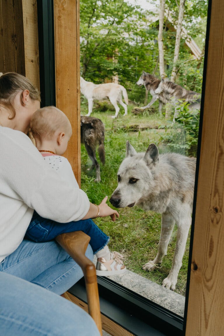 bébé avec loup au parc Sainte Croix