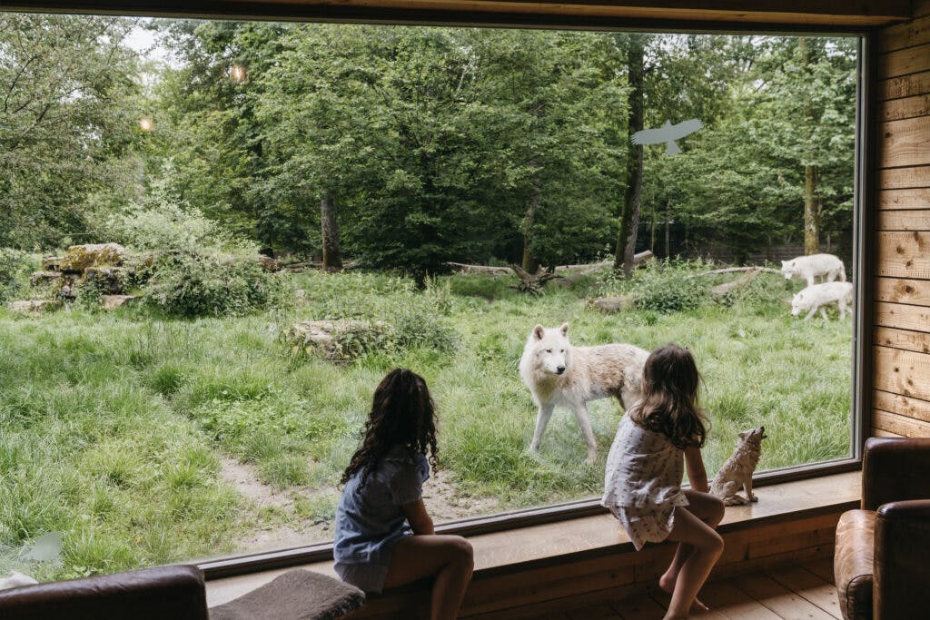 Lodge familial loups Parc Sainte Croix