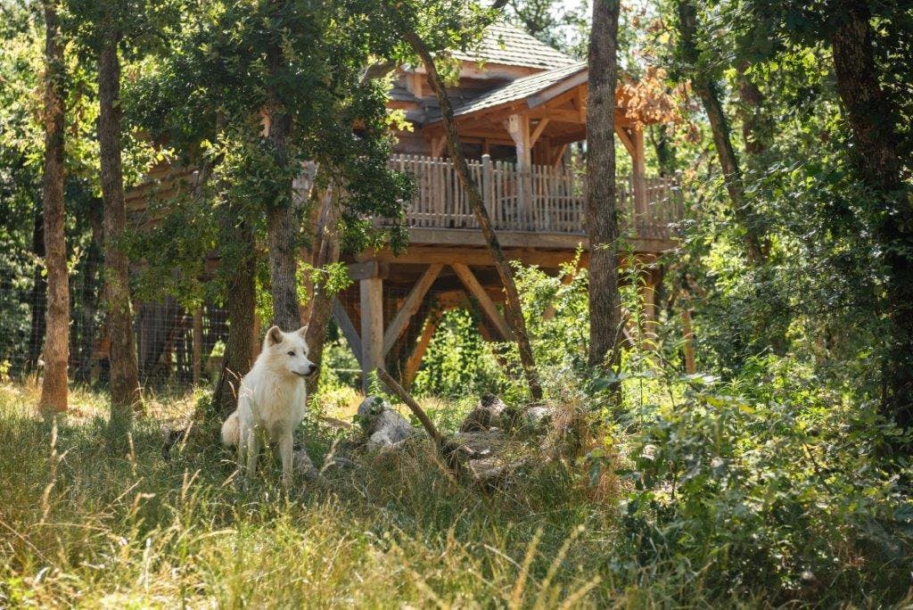 Cabane famille nombreuse Paugres