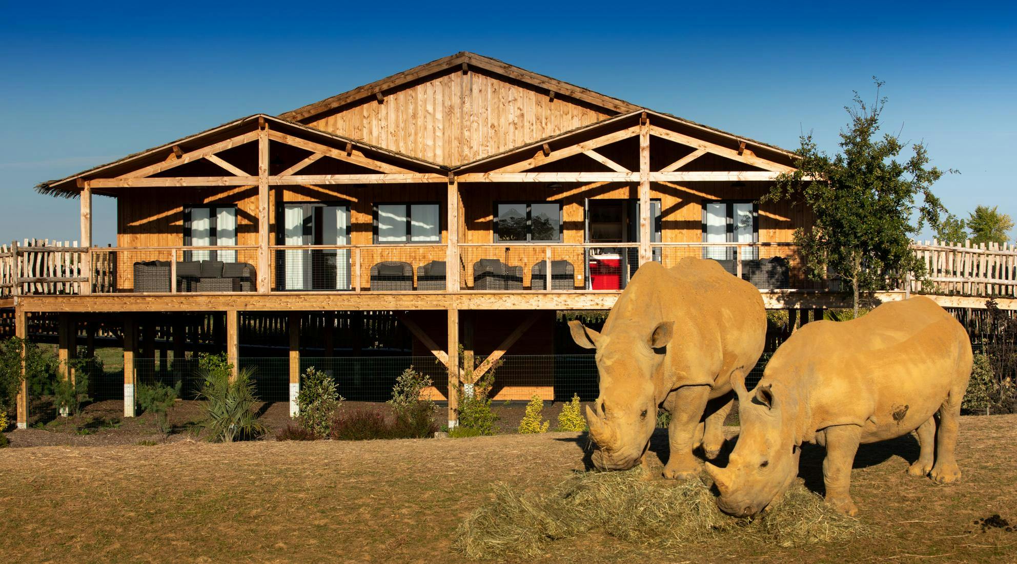 Domir au zoo en lodge Boissiere Doré