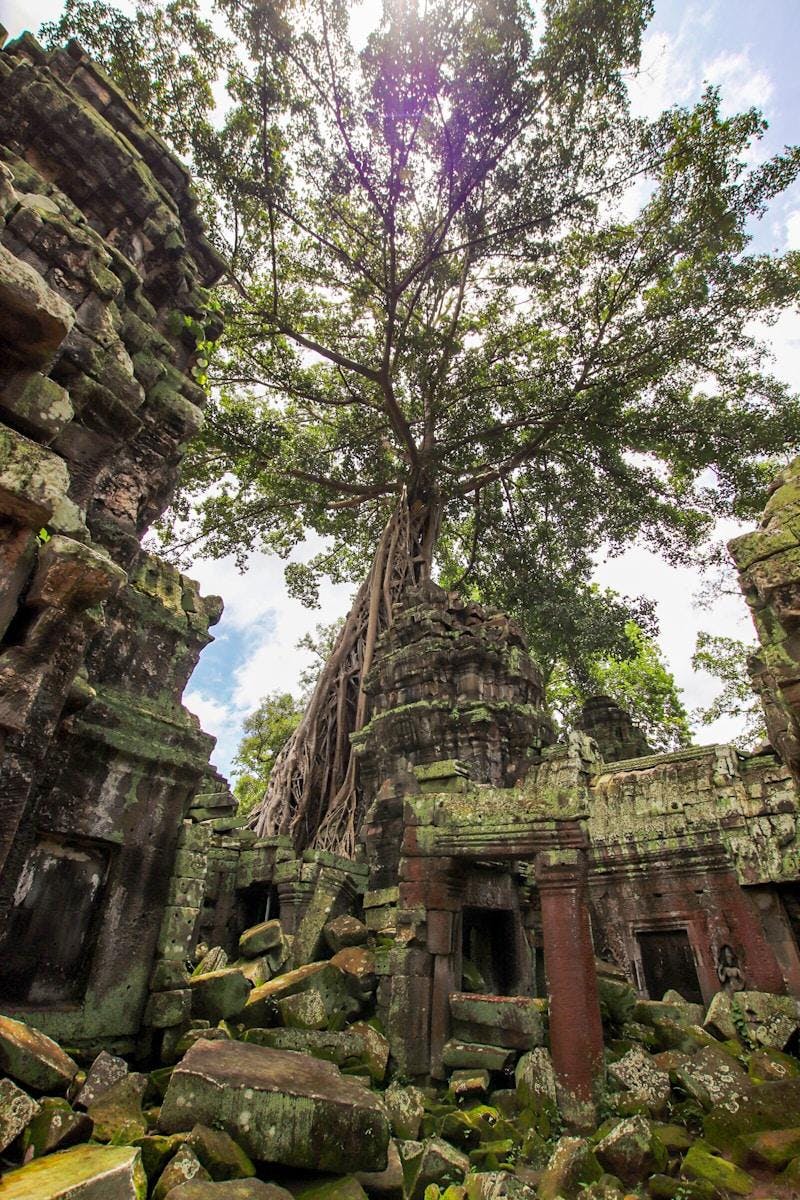 Visites et activités en famille au Cambodge