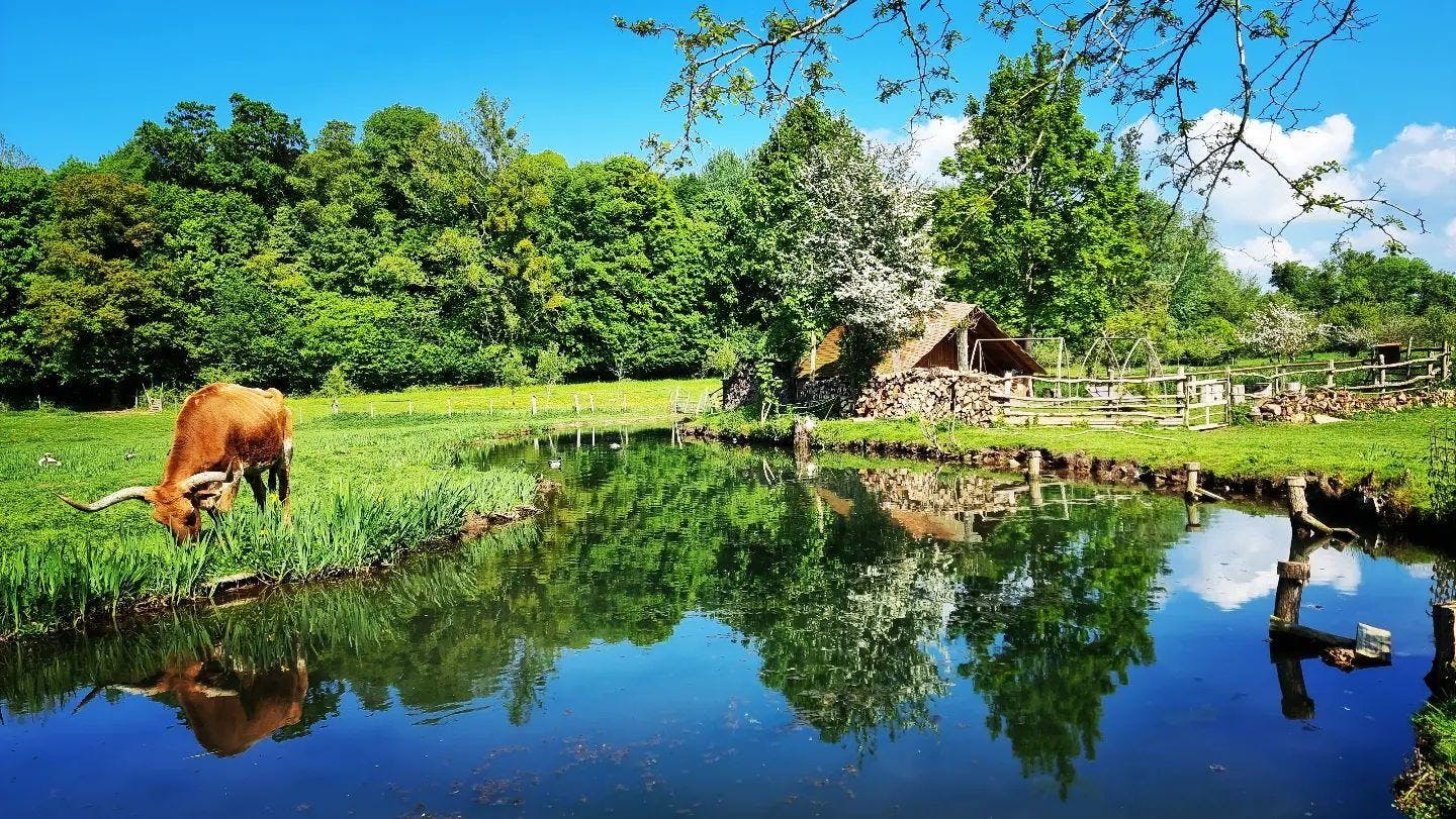 cabanes au milieu de la nature et des animaux
