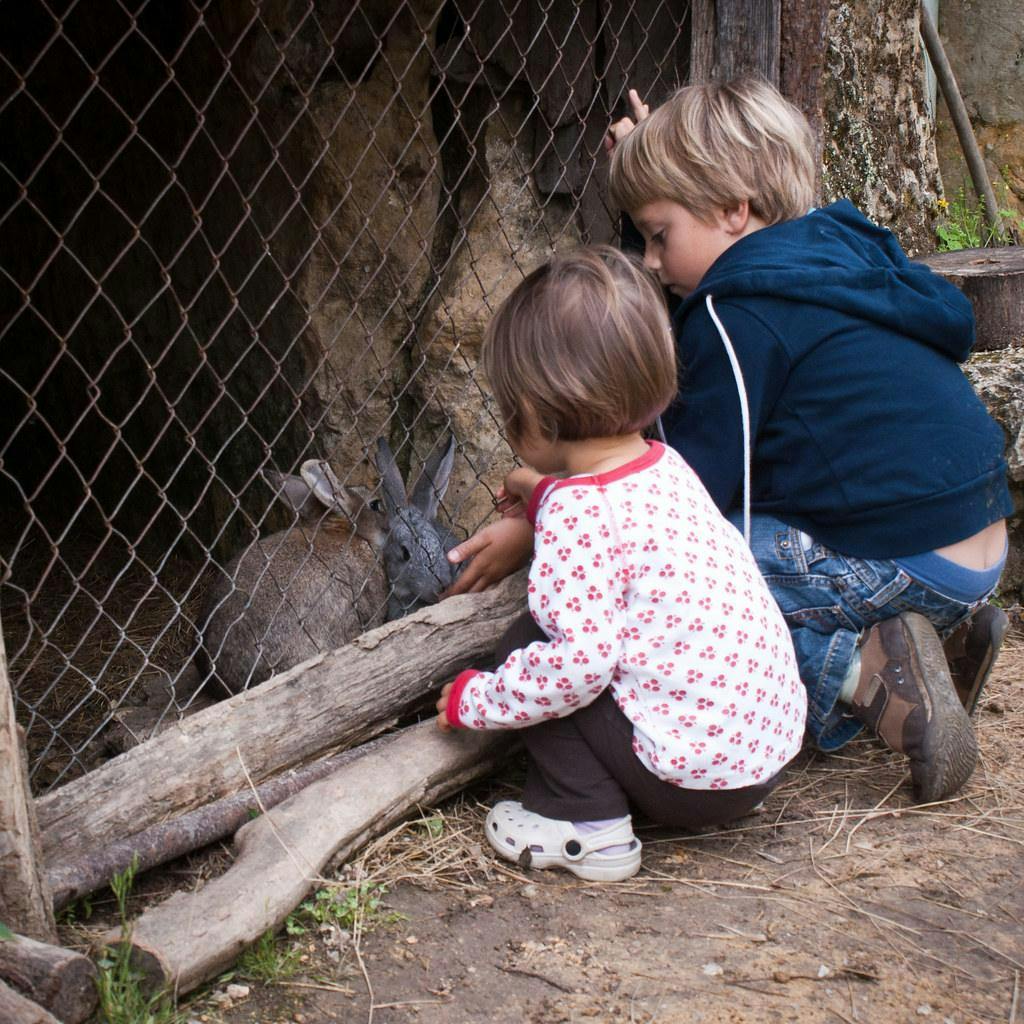enfants dans une mini ferme