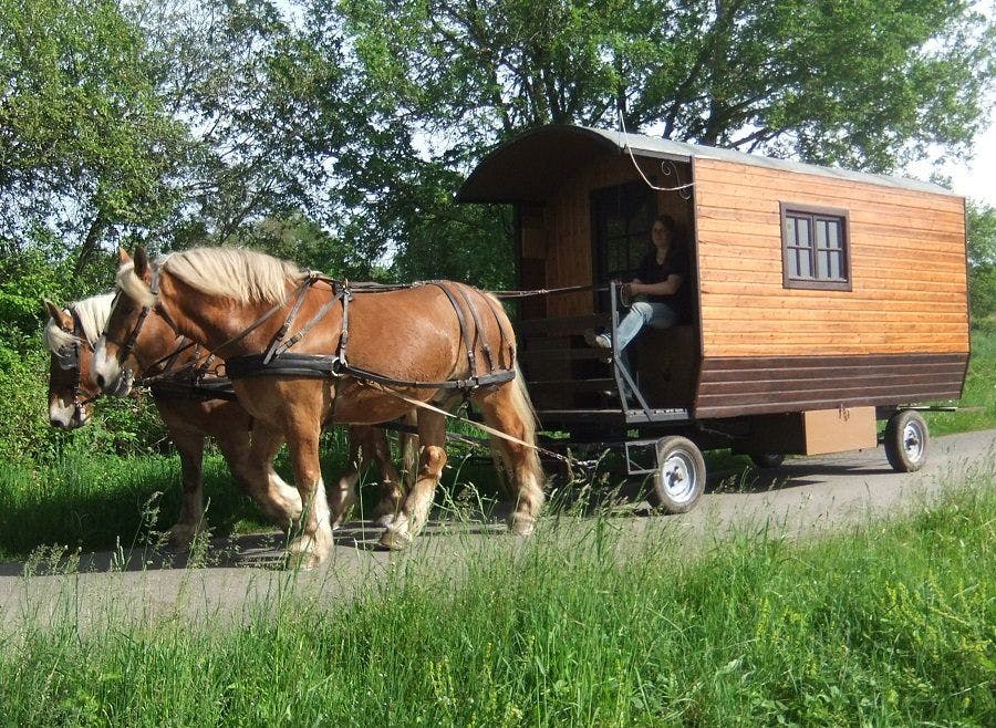 Roulotte 4 personnes avec chevaux
