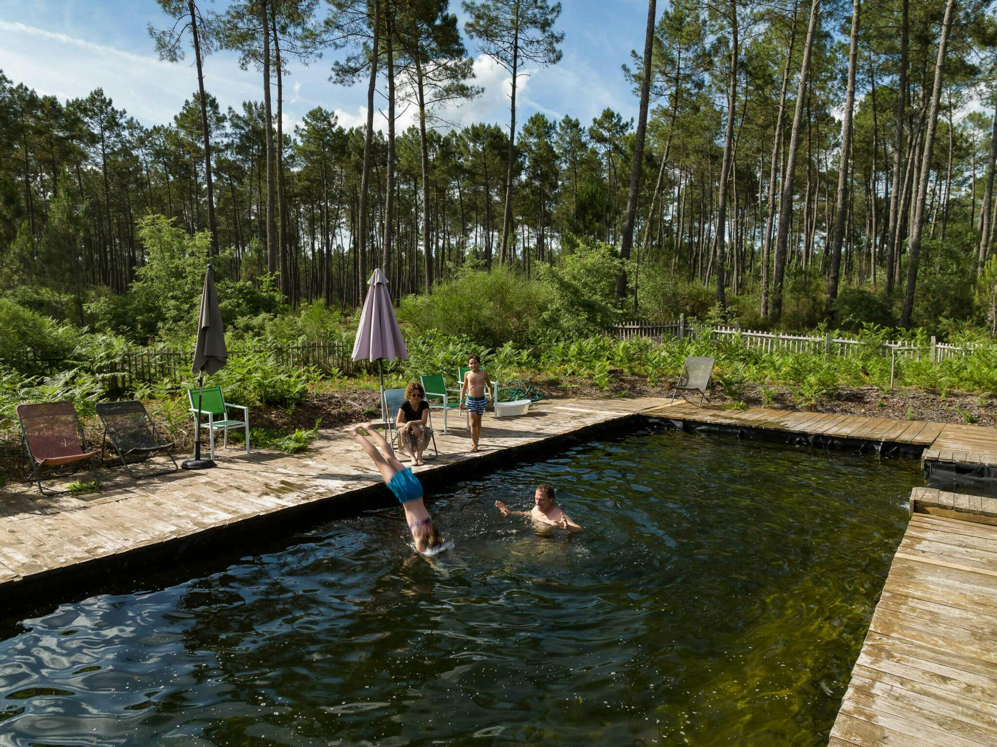 piscine naturelle 