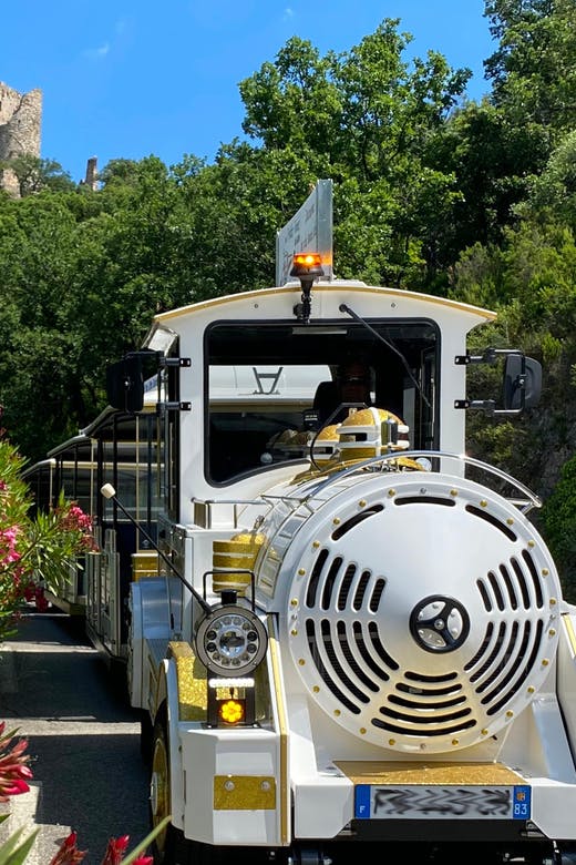 Visite en train à port Grimaud