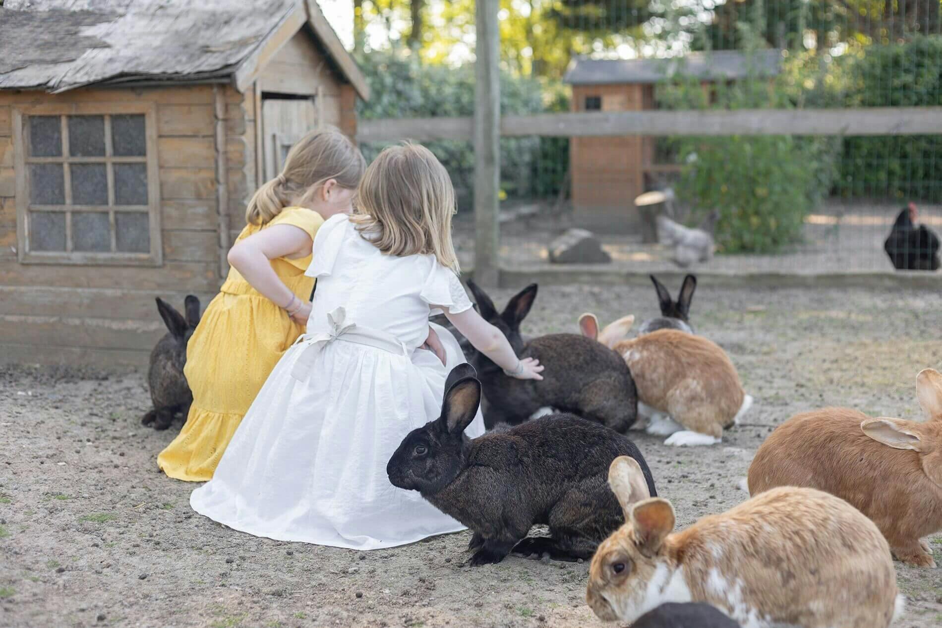 la rançonnière hôtel à la ferme kids friendly