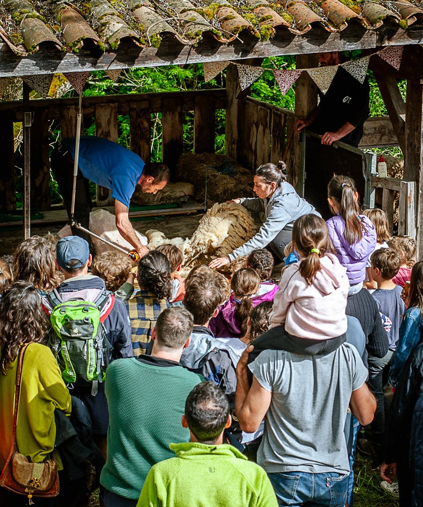 activité famille Ardelaine ardèche